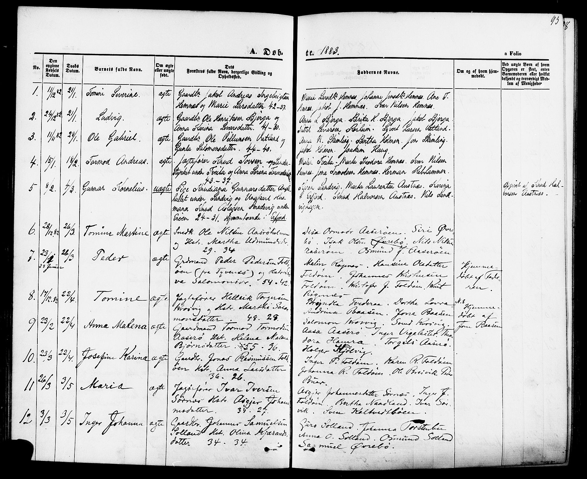 Jelsa sokneprestkontor, AV/SAST-A-101842/01/IV: Parish register (official) no. A 8, 1867-1883, p. 93