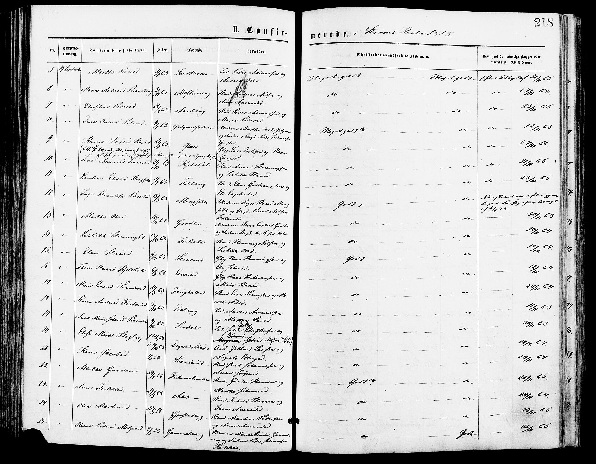 Sør-Odal prestekontor, SAH/PREST-030/H/Ha/Haa/L0005: Parish register (official) no. 5, 1876-1885, p. 218