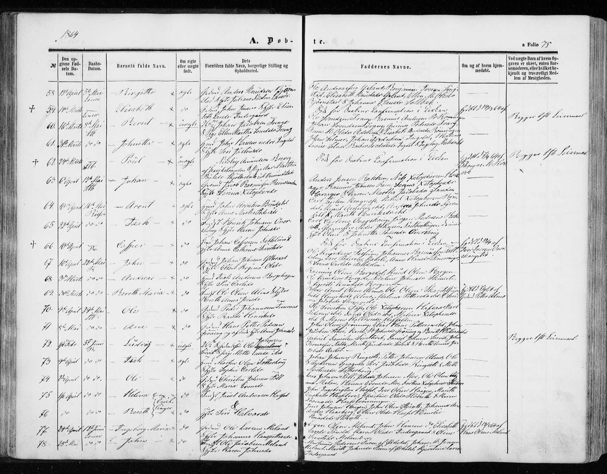 Ministerialprotokoller, klokkerbøker og fødselsregistre - Sør-Trøndelag, SAT/A-1456/646/L0612: Parish register (official) no. 646A10, 1858-1869, p. 75