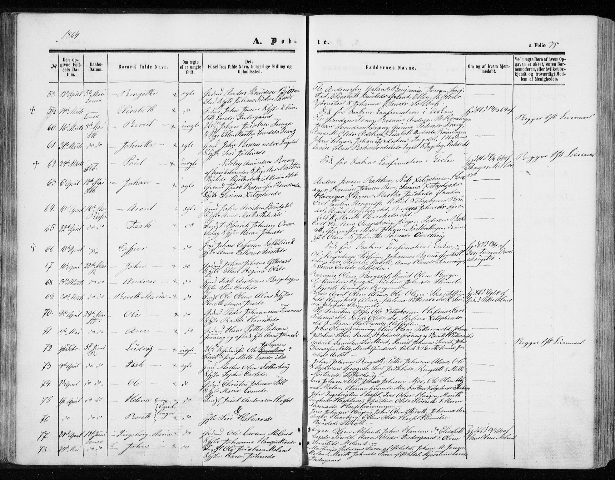 Ministerialprotokoller, klokkerbøker og fødselsregistre - Sør-Trøndelag, AV/SAT-A-1456/646/L0612: Parish register (official) no. 646A10, 1858-1869, p. 75