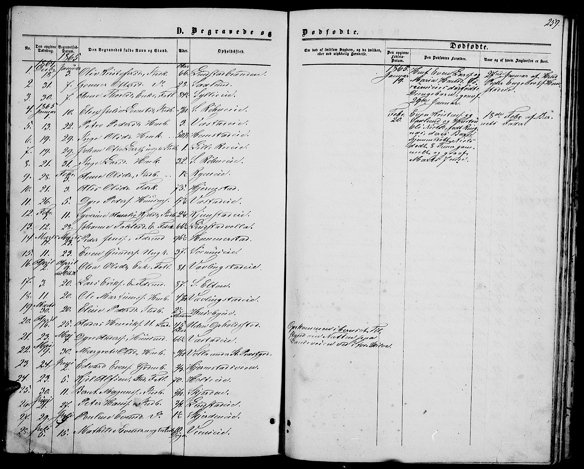 Stange prestekontor, SAH/PREST-002/L/L0006: Parish register (copy) no. 6, 1864-1882, p. 259