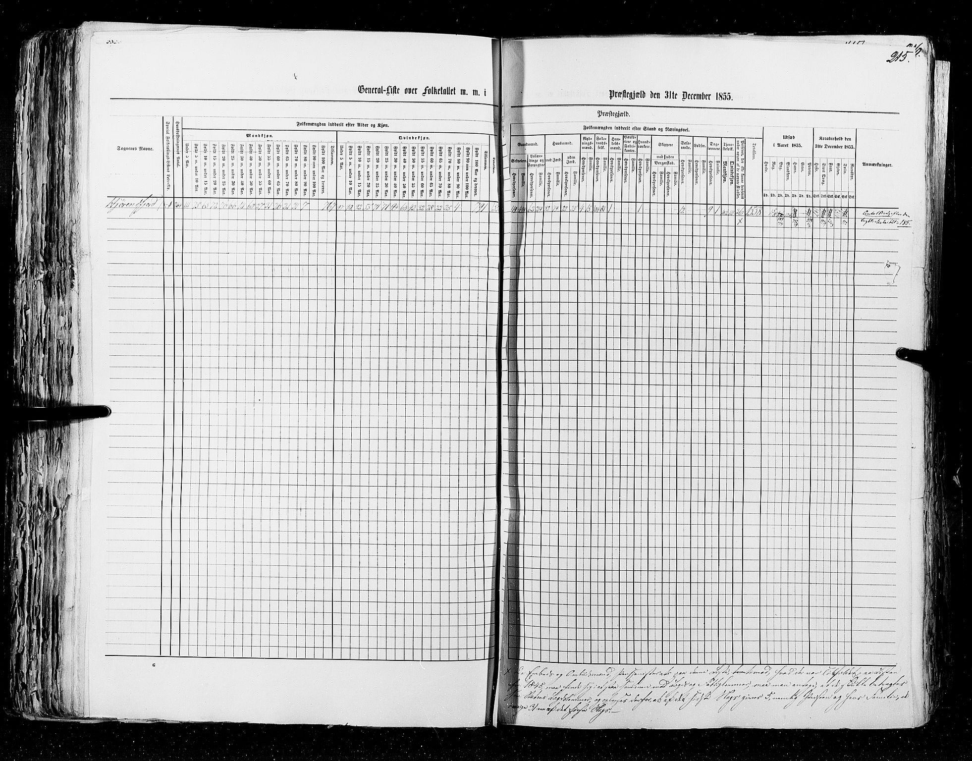 RA, Census 1855, vol. 5: Nordre Bergenhus amt, Romsdal amt og Søndre Trondhjem amt, 1855, p. 215