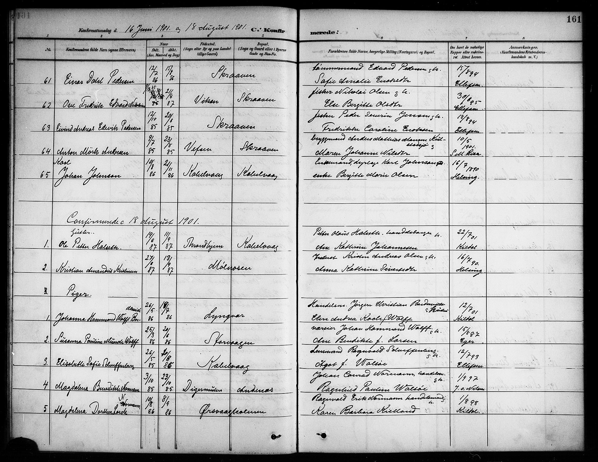 Ministerialprotokoller, klokkerbøker og fødselsregistre - Nordland, AV/SAT-A-1459/874/L1078: Parish register (copy) no. 874C07, 1900-1907, p. 161