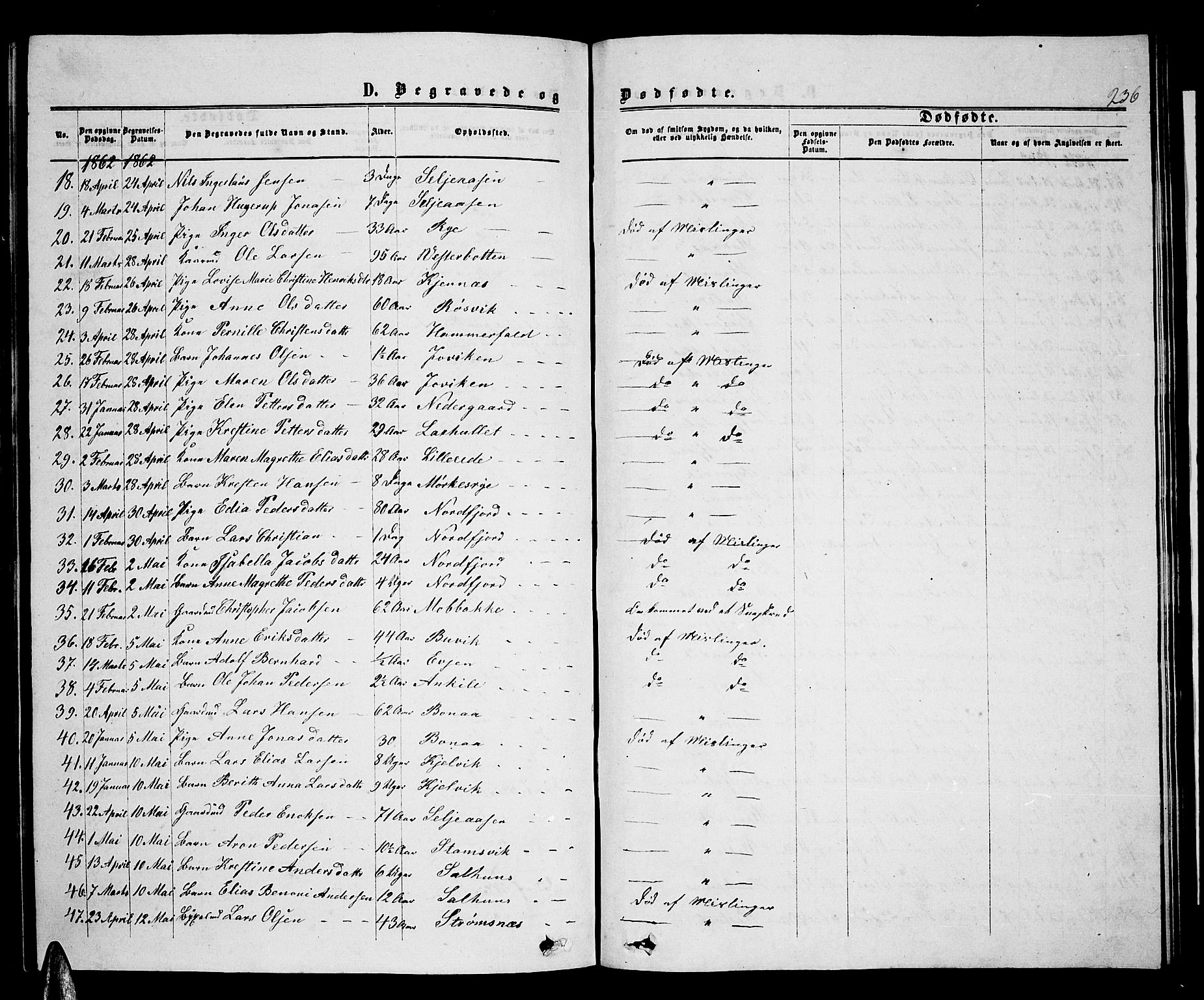 Ministerialprotokoller, klokkerbøker og fødselsregistre - Nordland, AV/SAT-A-1459/853/L0775: Parish register (copy) no. 853C03, 1859-1877, p. 236