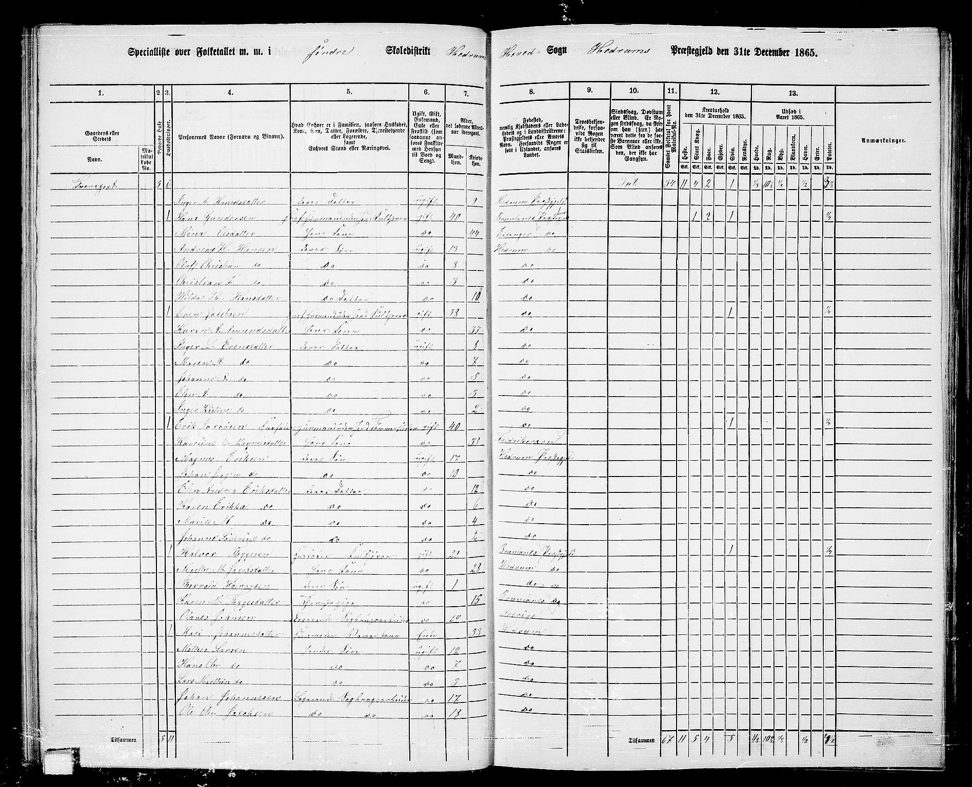 RA, 1865 census for Hedrum, 1865, p. 33