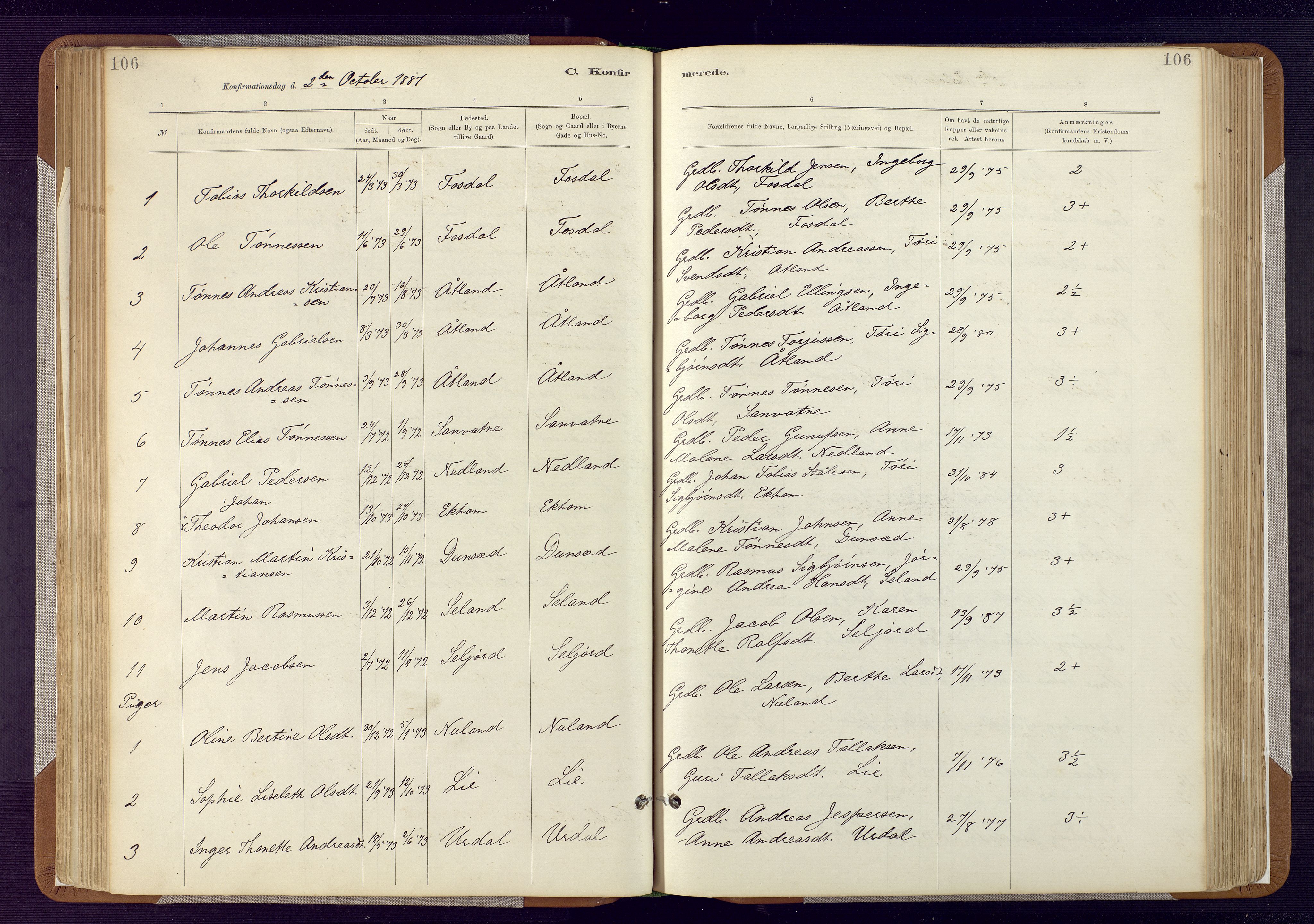 Bakke sokneprestkontor, AV/SAK-1111-0002/F/Fa/Fab/L0003: Parish register (official) no. A 3, 1884-1921, p. 106