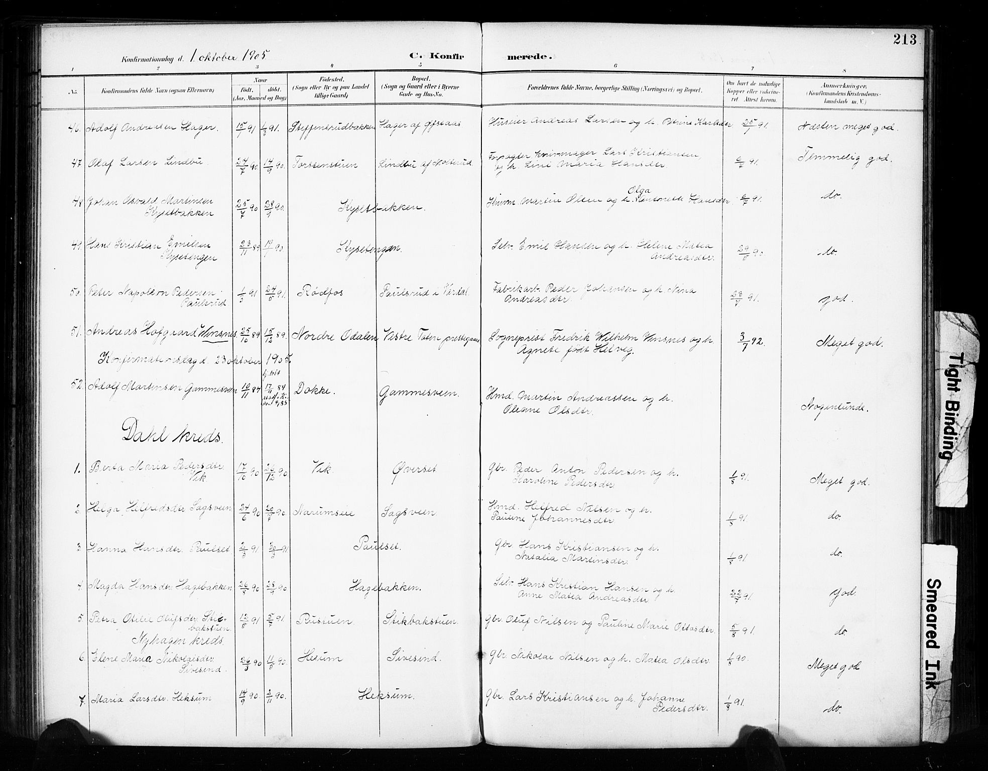 Vestre Toten prestekontor, AV/SAH-PREST-108/H/Ha/Haa/L0011: Parish register (official) no. 11, 1895-1906, p. 213