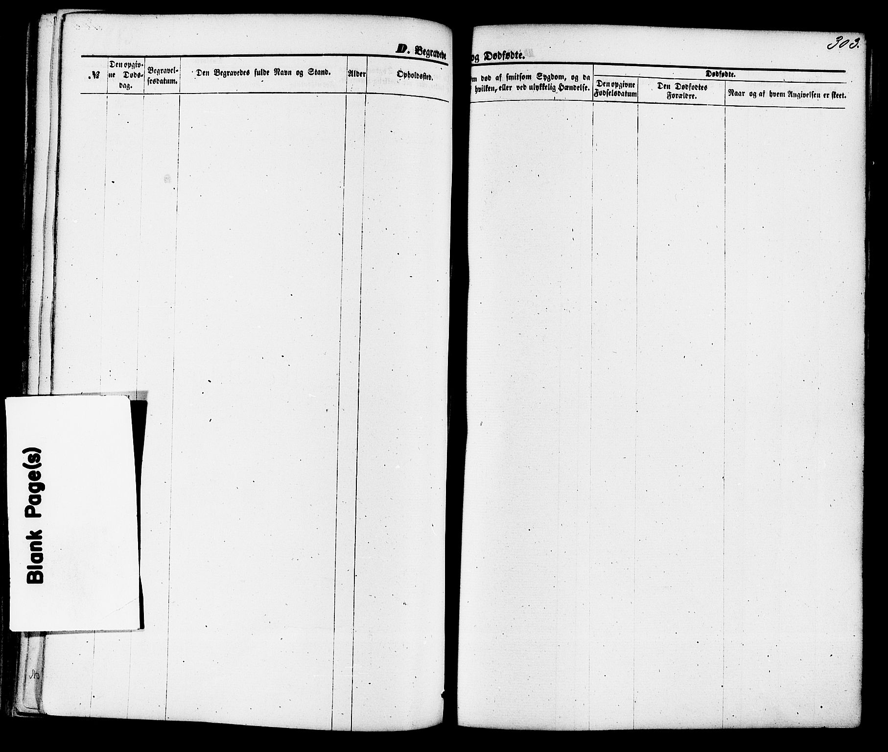 Gjerpen kirkebøker, SAKO/A-265/F/Fa/L0009: Parish register (official) no. I 9, 1872-1885, p. 303