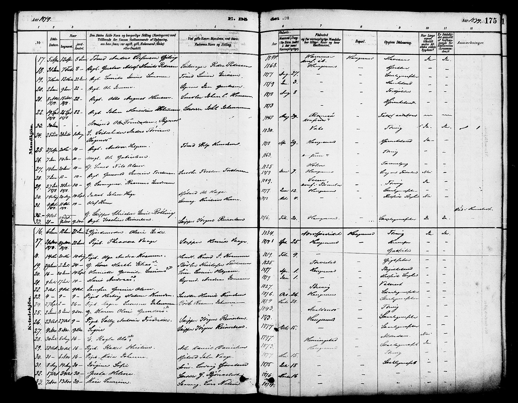 Haugesund sokneprestkontor, SAST/A -101863/H/Ha/Haa/L0001: Parish register (official) no. A 1, 1878-1885, p. 175