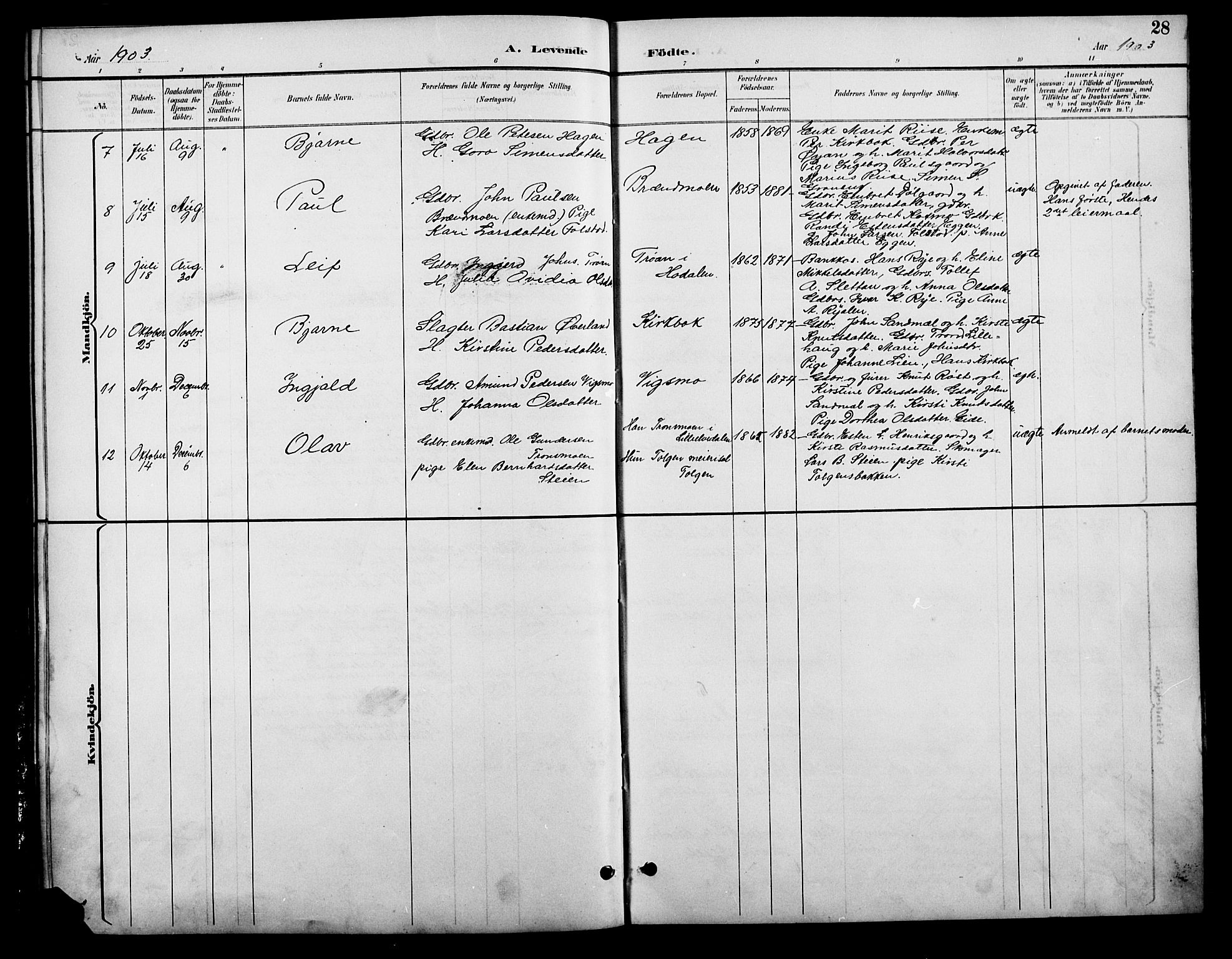 Tolga prestekontor, AV/SAH-PREST-062/L/L0009: Parish register (copy) no. 9, 1892-1919, p. 28