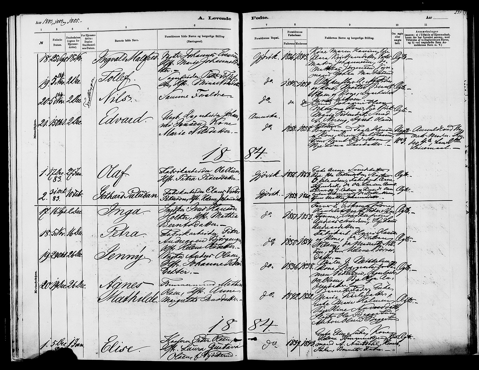 Vardal prestekontor, SAH/PREST-100/H/Ha/Haa/L0008: Parish register (official) no. 8, 1878-1890, p. 234