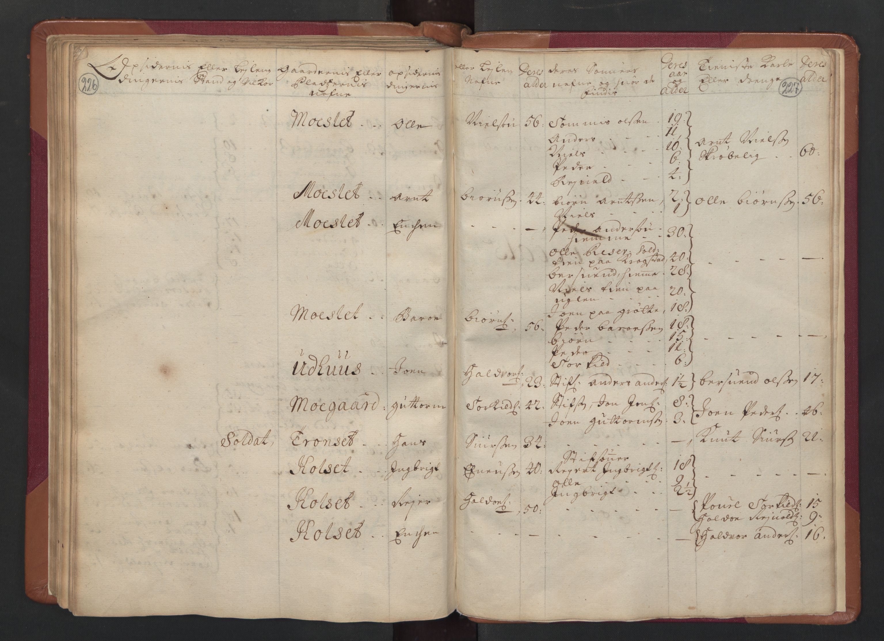 RA, Census (manntall) 1701, no. 14: Strinda and Selbu fogderi, 1701, p. 226-227
