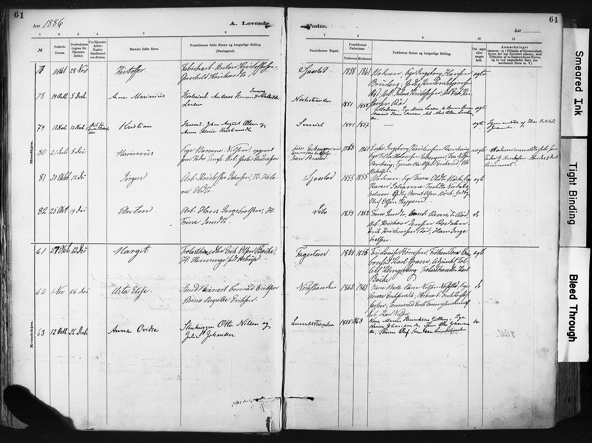 Lier kirkebøker, AV/SAKO-A-230/F/Fa/L0015: Parish register (official) no. I 15, 1883-1894, p. 61