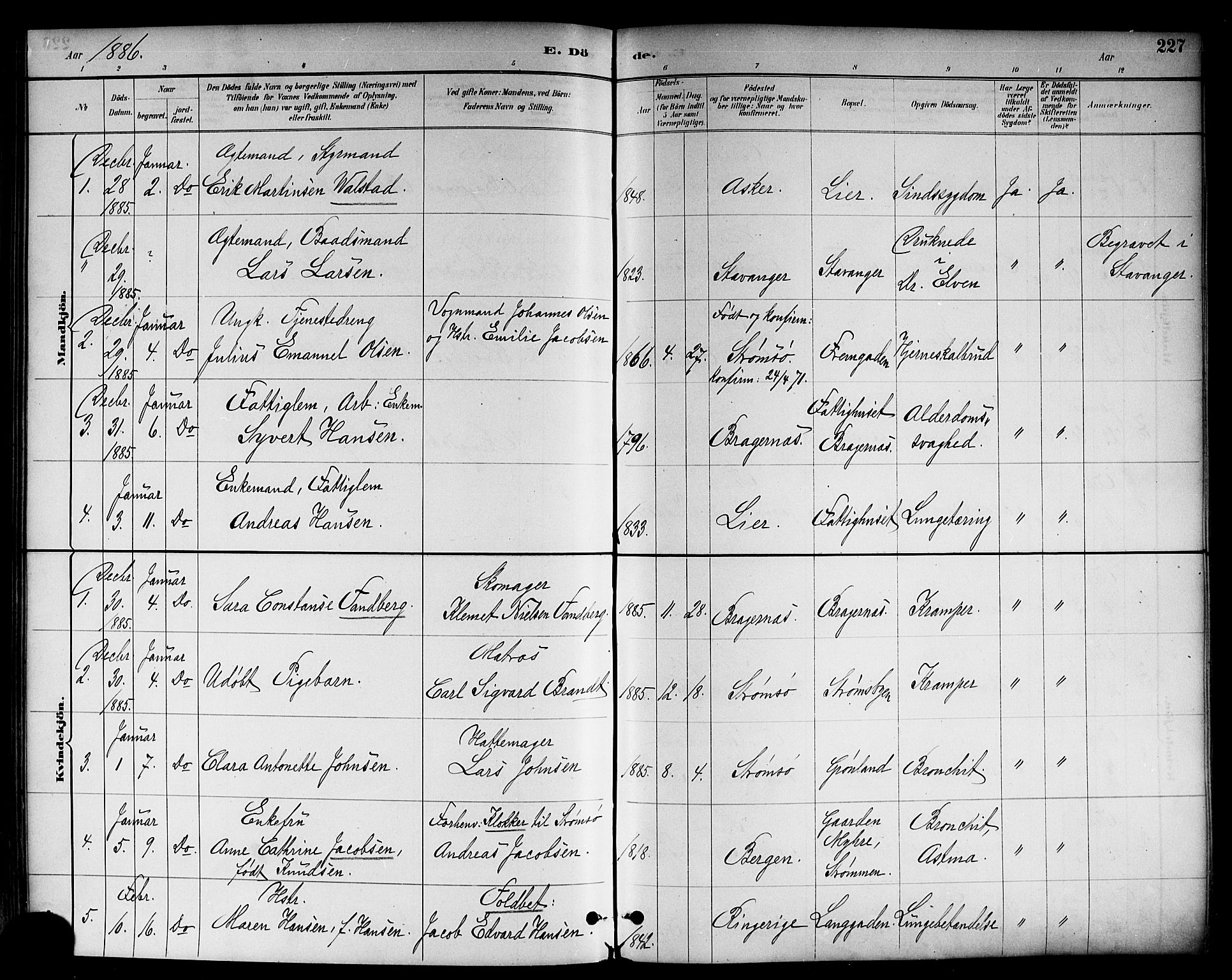 Strømsø kirkebøker, SAKO/A-246/F/Fa/L0023: Parish register (official) no. I 23, 1885-1894, p. 227
