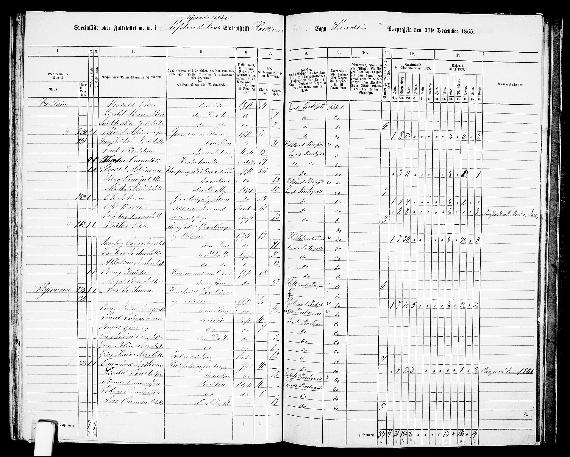 RA, 1865 census for Lund, 1865, p. 87