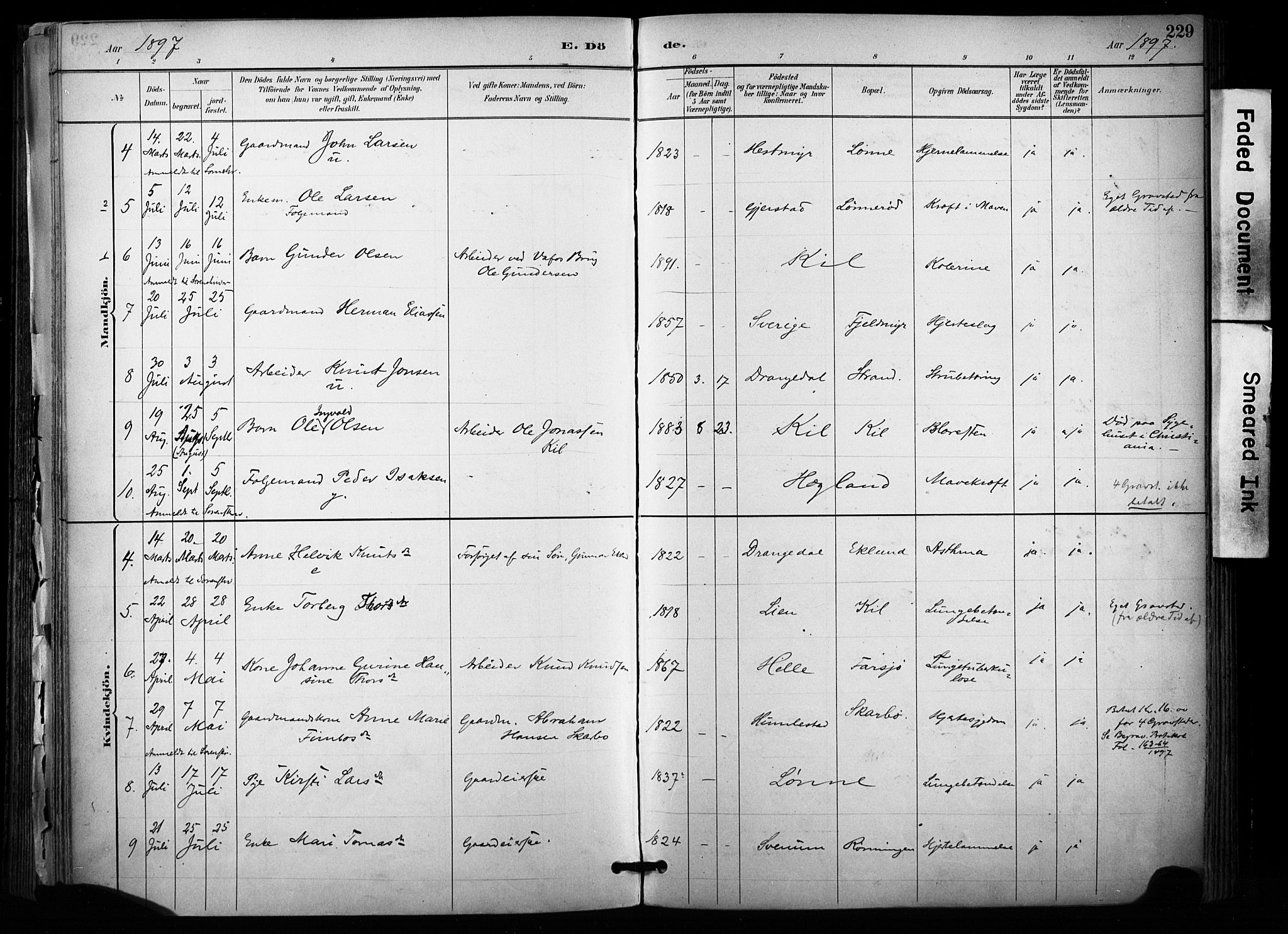 Sannidal kirkebøker, AV/SAKO-A-296/F/Fa/L0015: Parish register (official) no. 15, 1884-1899, p. 229