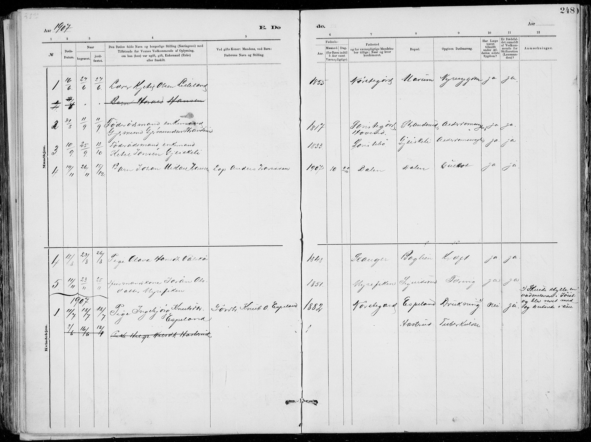 Tinn kirkebøker, SAKO/A-308/F/Fa/L0007: Parish register (official) no. I 7, 1878-1922, p. 248