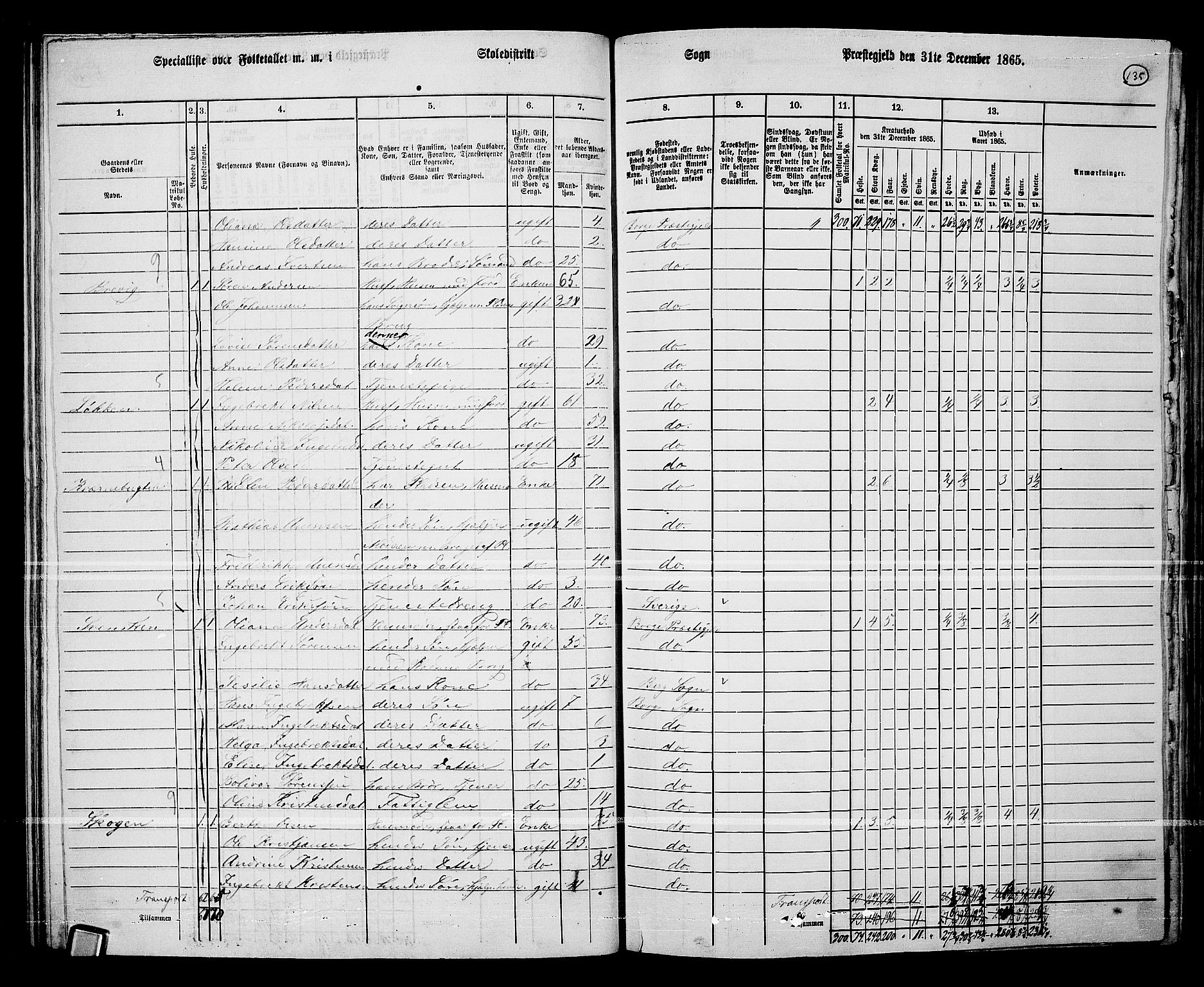 RA, 1865 census for Borge, 1865, p. 124