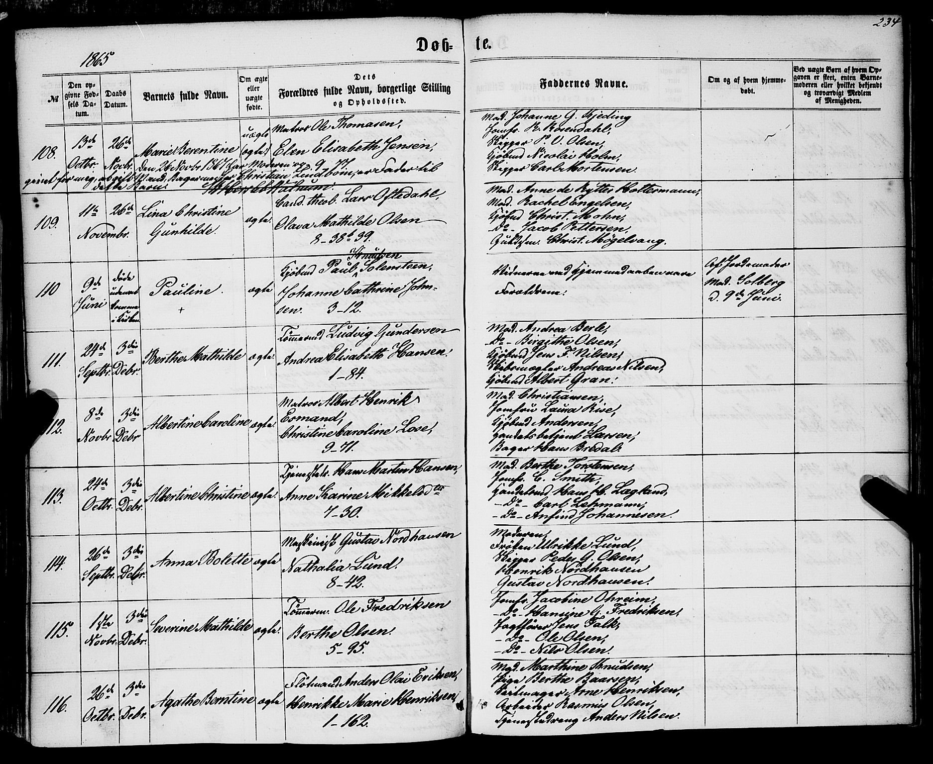 Nykirken Sokneprestembete, SAB/A-77101/H/Haa/L0015: Parish register (official) no. B 2, 1858-1869, p. 234