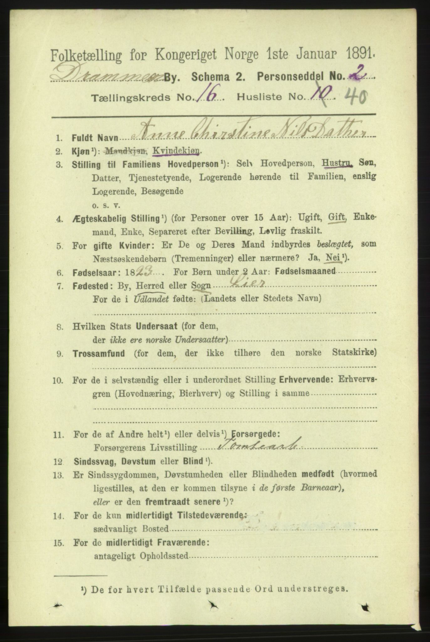 RA, 1891 census for 0602 Drammen, 1891, p. 11272