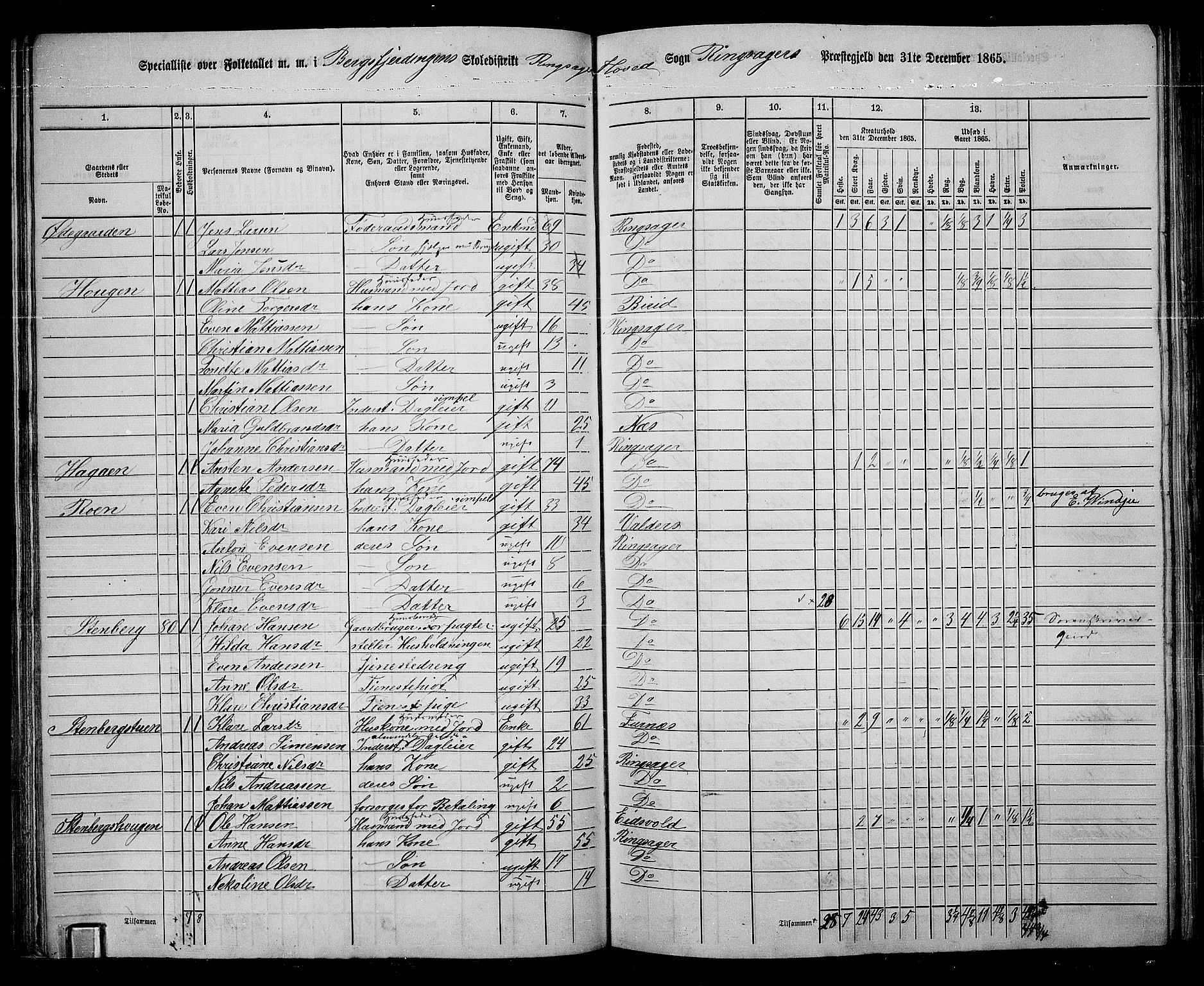 RA, 1865 census for Ringsaker, 1865, p. 94