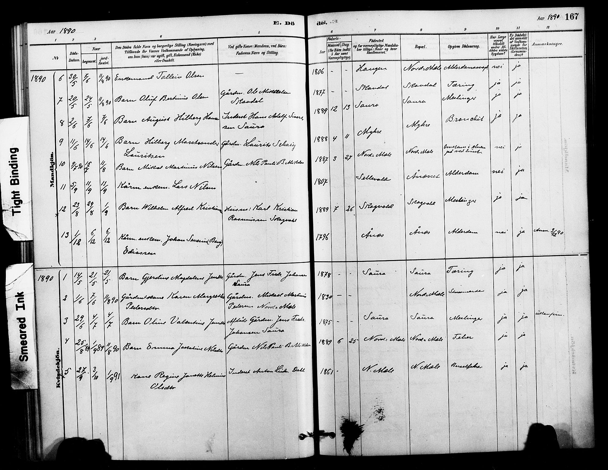 Ministerialprotokoller, klokkerbøker og fødselsregistre - Nordland, AV/SAT-A-1459/897/L1399: Parish register (official) no. 897C06, 1881-1896, p. 167