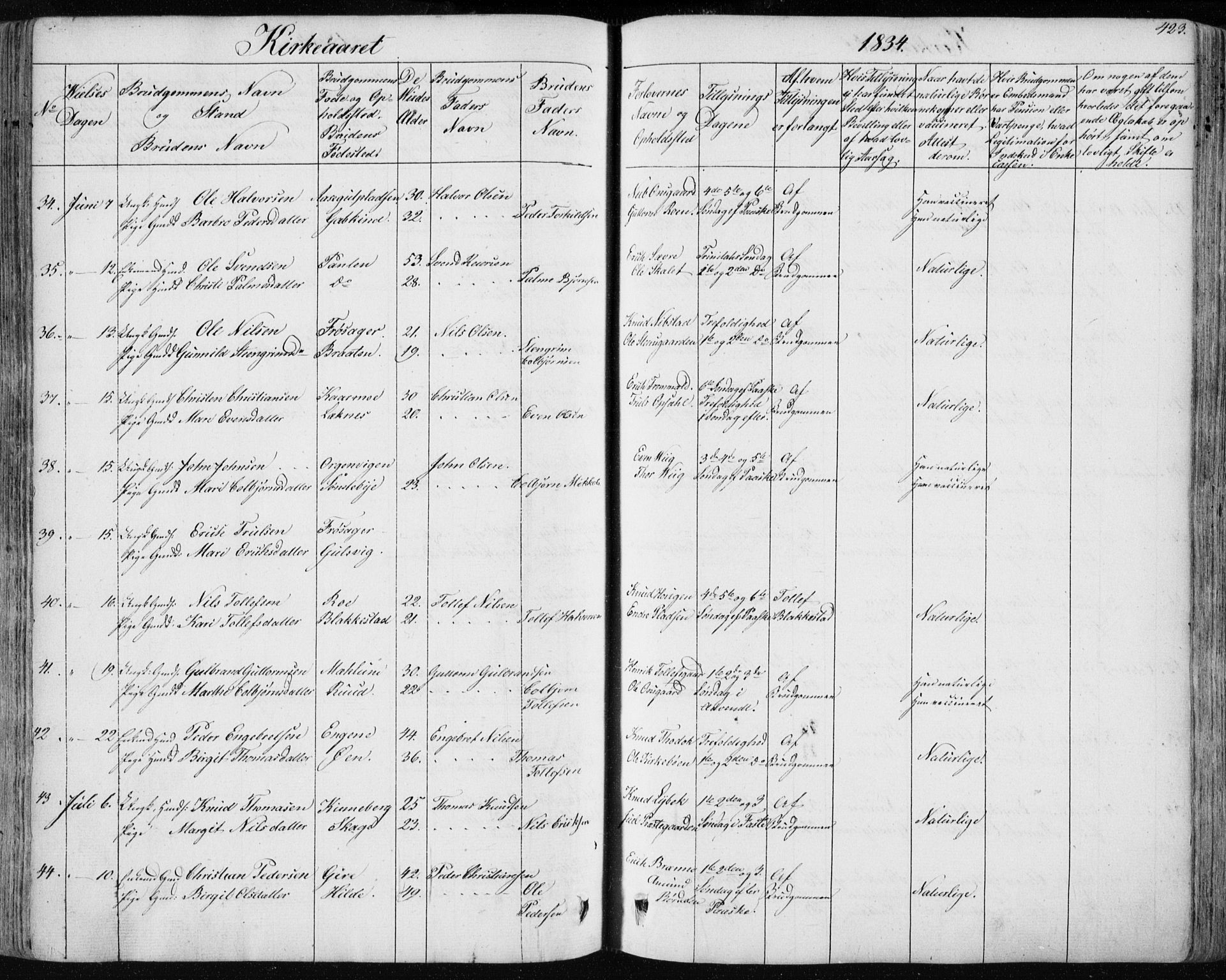 Nes kirkebøker, AV/SAKO-A-236/F/Fa/L0009: Parish register (official) no. 9, 1834-1863, p. 423