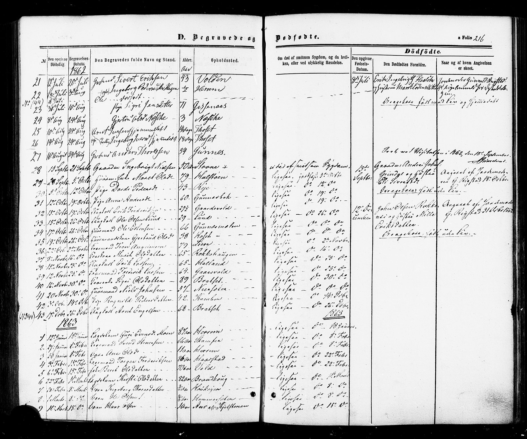 Ministerialprotokoller, klokkerbøker og fødselsregistre - Sør-Trøndelag, AV/SAT-A-1456/674/L0870: Parish register (official) no. 674A02, 1861-1879, p. 216