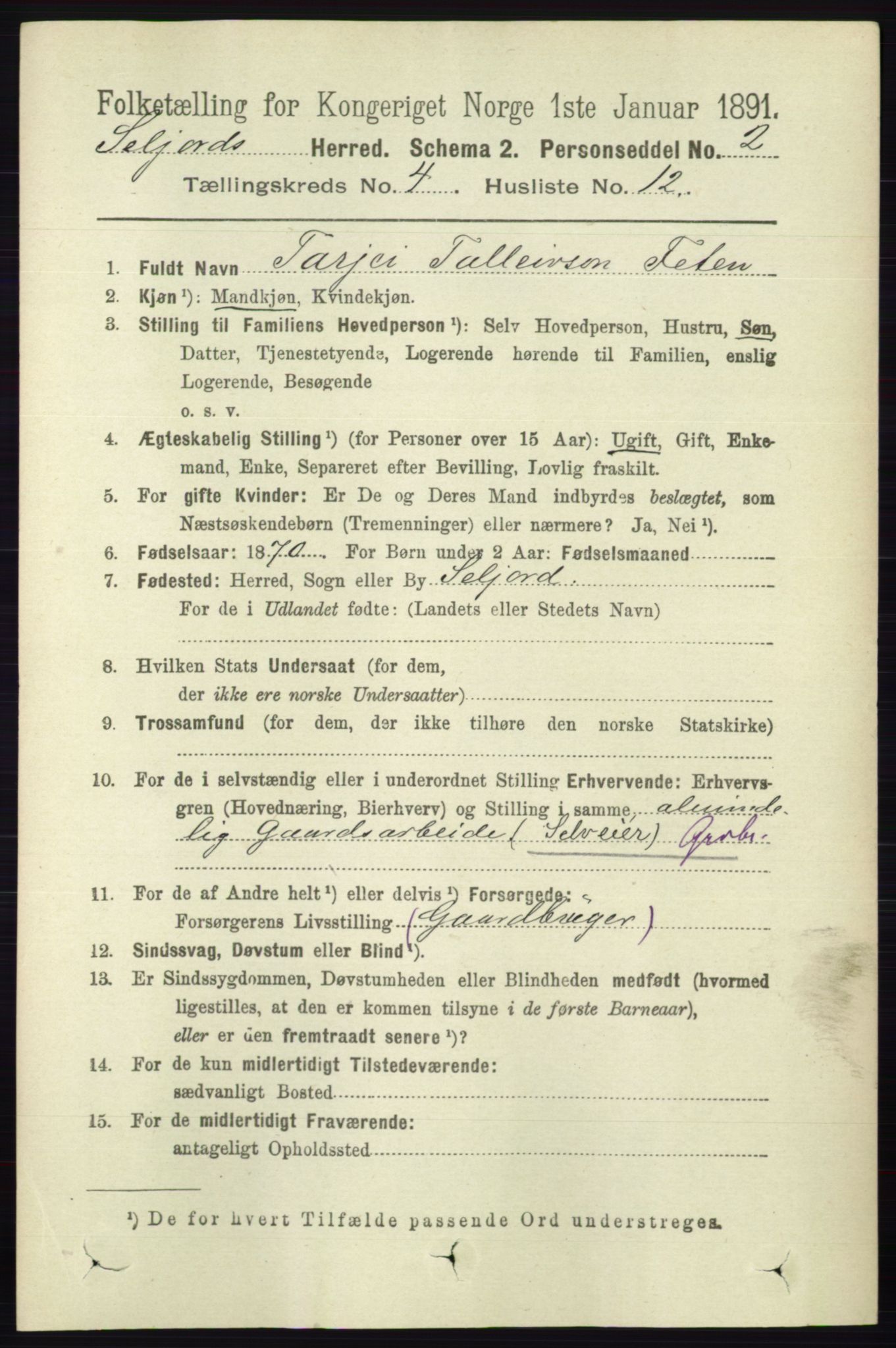 RA, 1891 census for 0828 Seljord, 1891, p. 1353