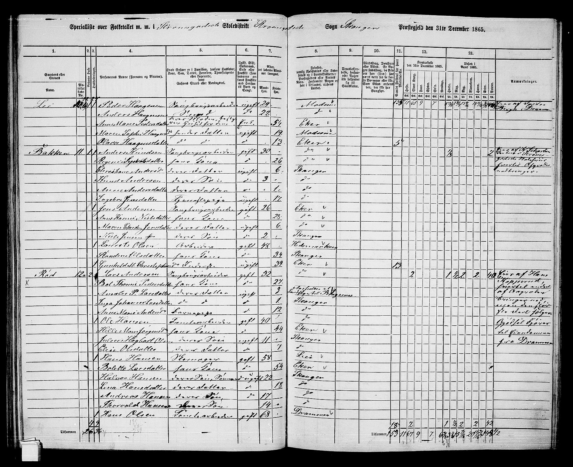 RA, 1865 census for Skoger, 1865, p. 120