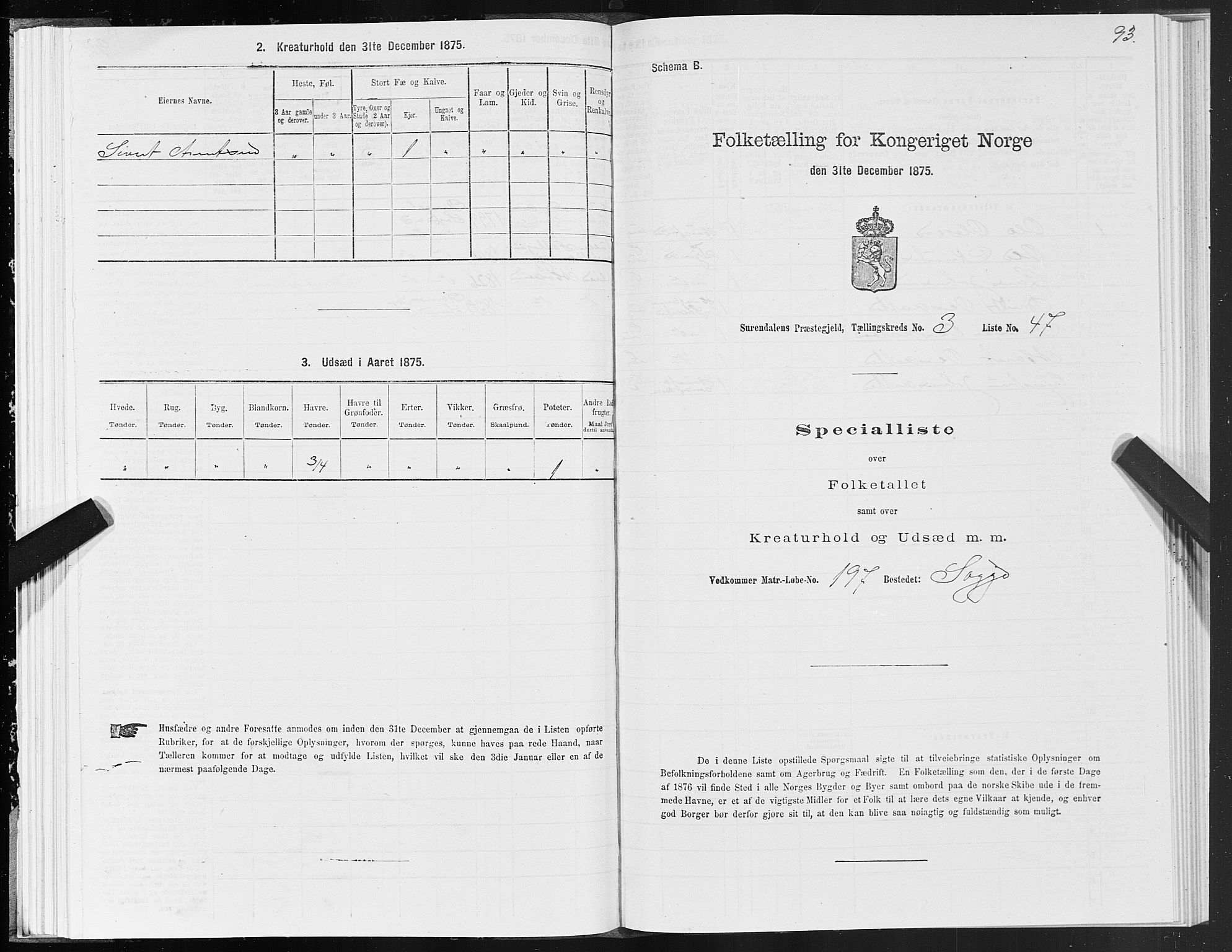 SAT, 1875 census for 1566P Surnadal, 1875, p. 2093