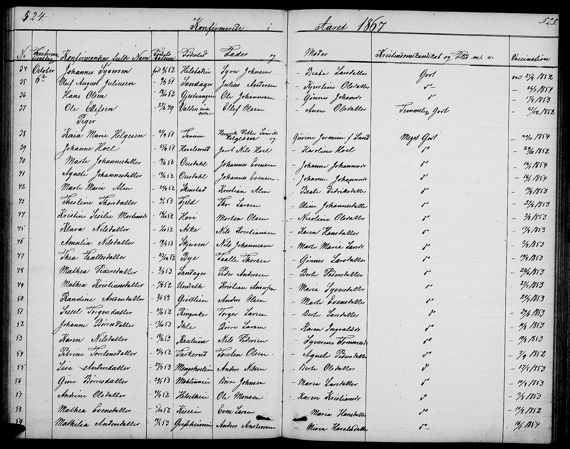 Nes prestekontor, Hedmark, AV/SAH-PREST-020/L/La/L0005: Parish register (copy) no. 5, 1852-1889, p. 524-525