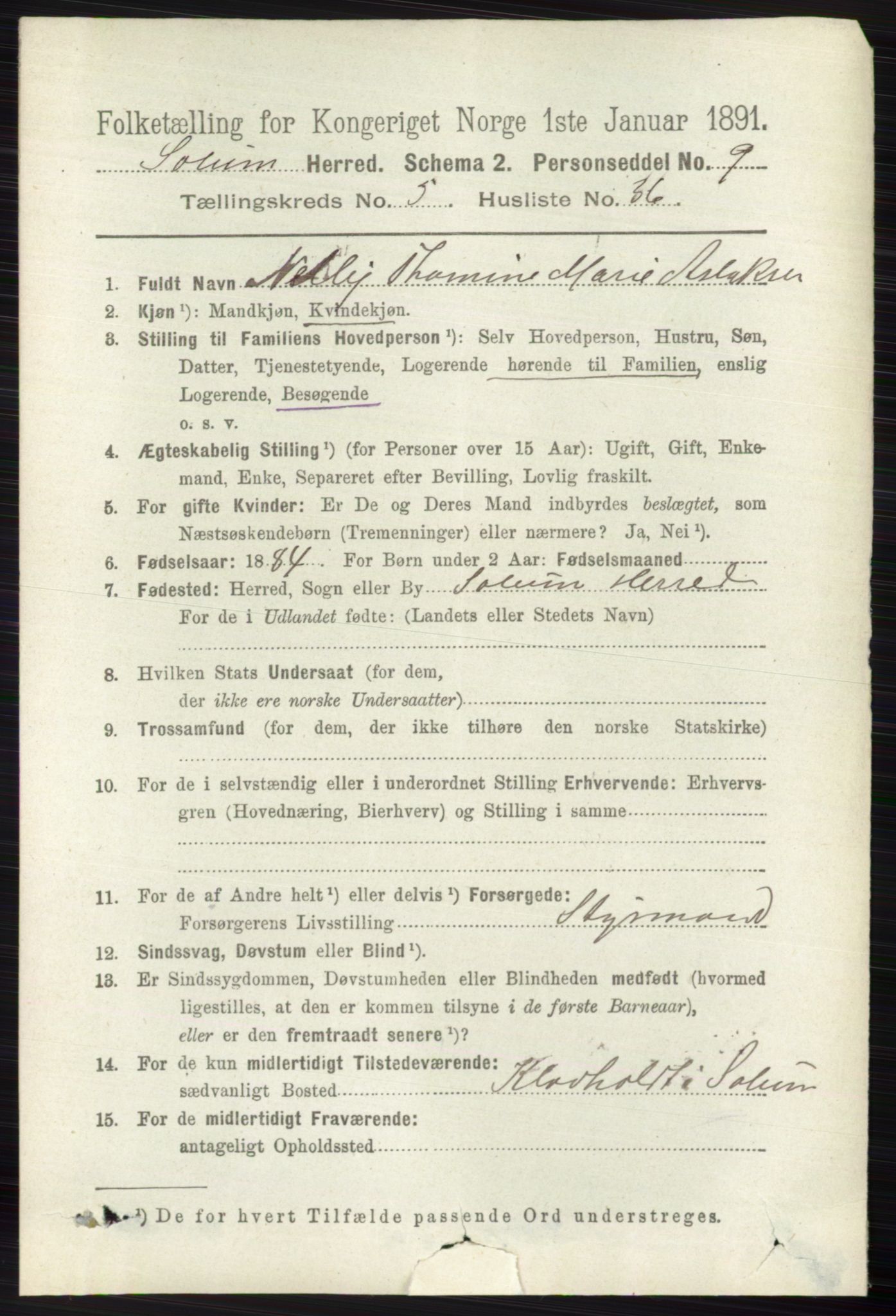 RA, 1891 census for 0818 Solum, 1891, p. 1063