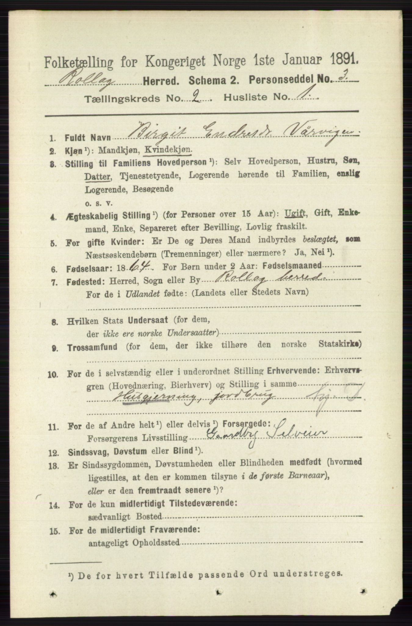 RA, 1891 census for 0632 Rollag, 1891, p. 489