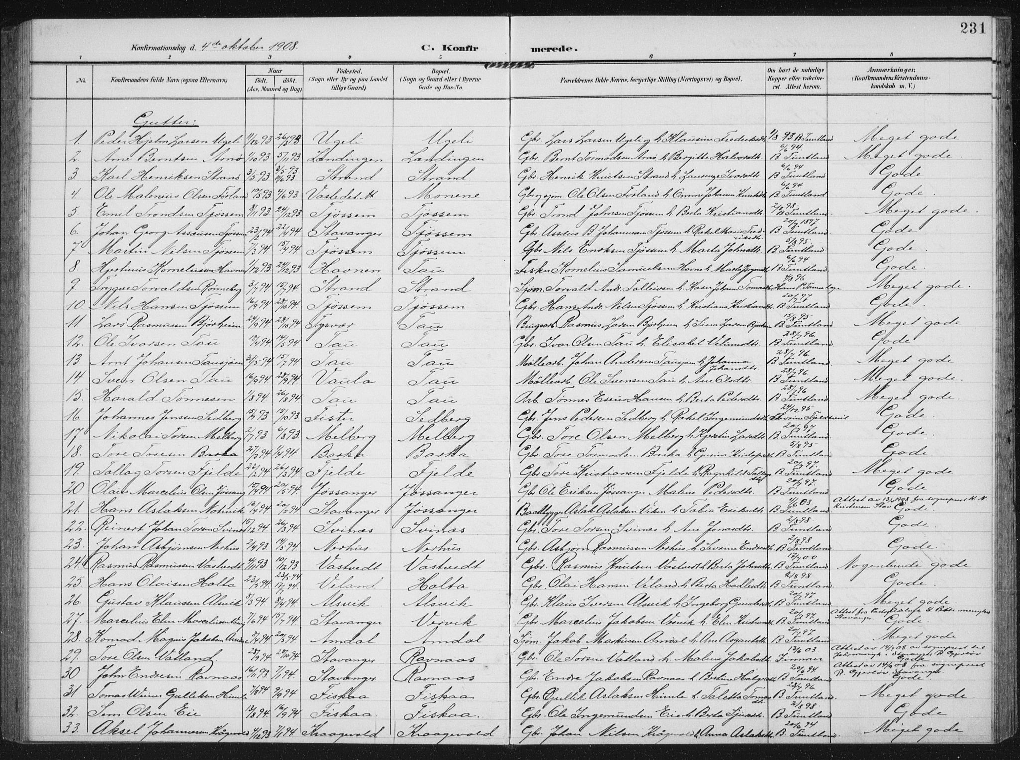 Strand sokneprestkontor, AV/SAST-A-101828/H/Ha/Hab/L0005: Parish register (copy) no. B 5, 1904-1934, p. 231