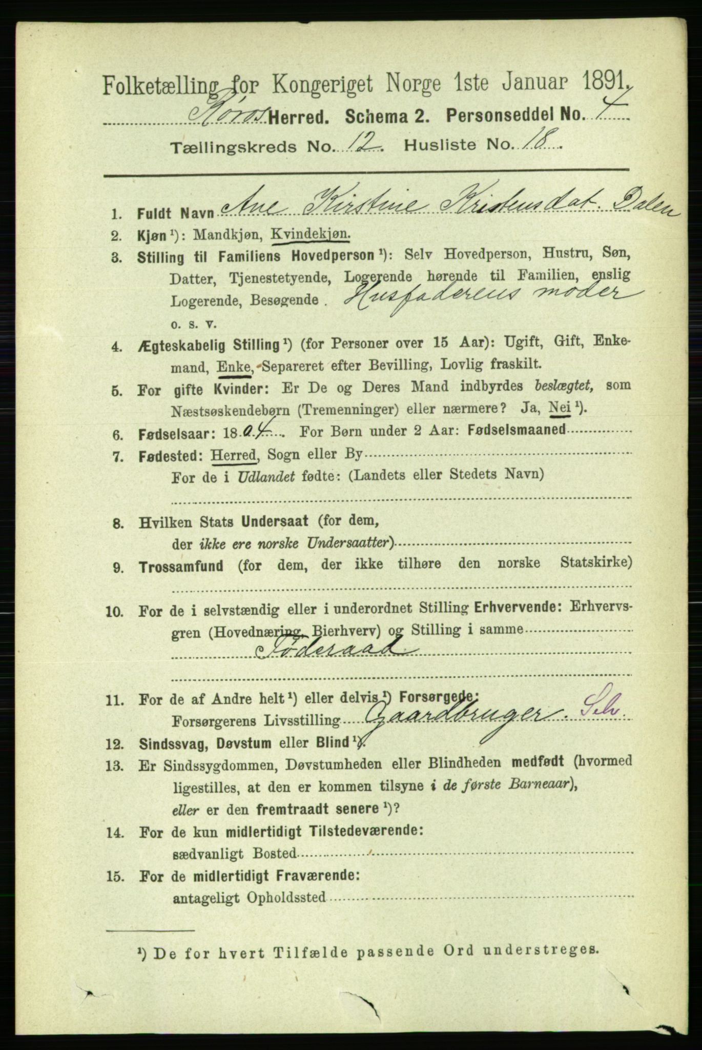 RA, 1891 census for 1640 Røros, 1891, p. 2502