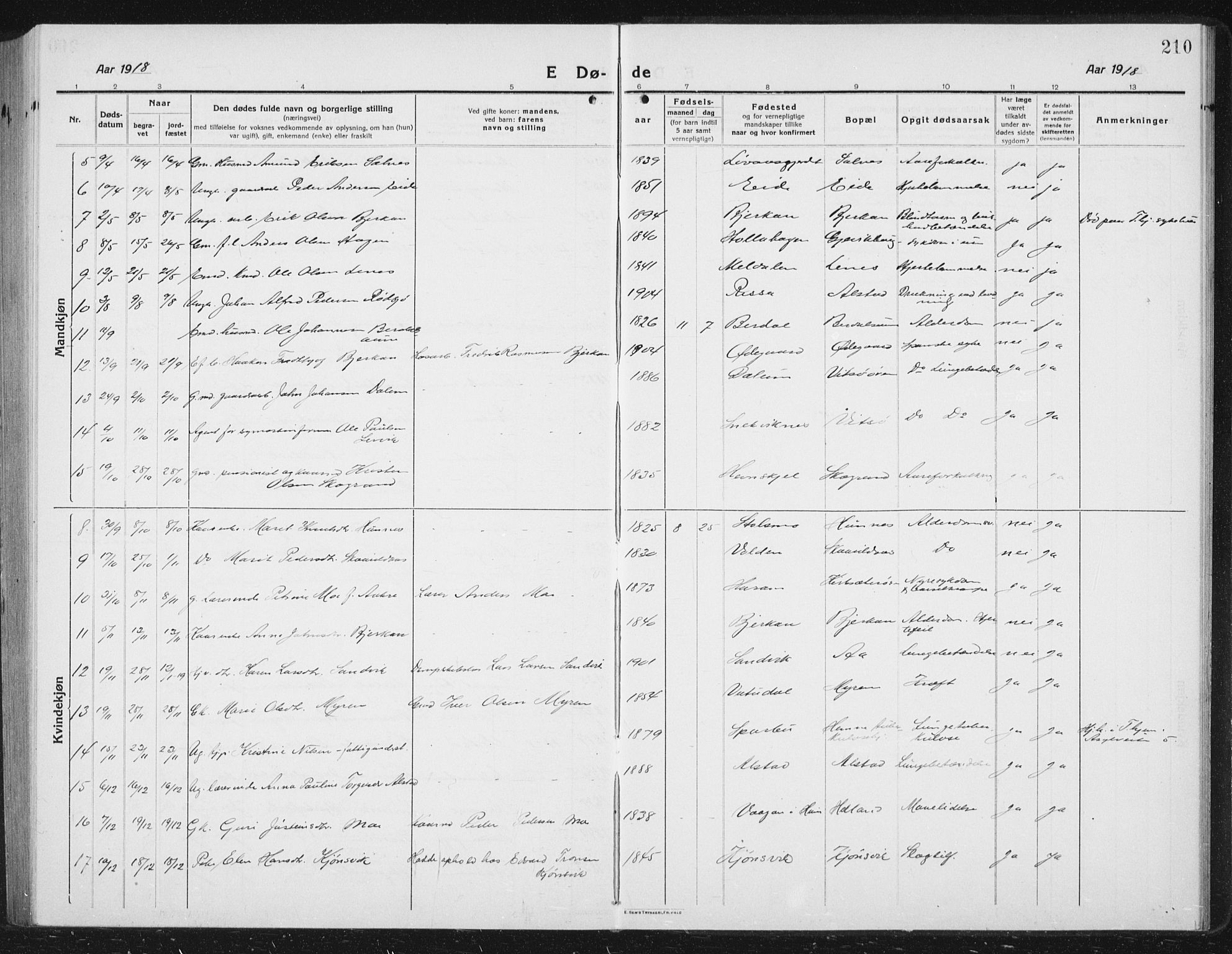 Ministerialprotokoller, klokkerbøker og fødselsregistre - Sør-Trøndelag, AV/SAT-A-1456/630/L0506: Parish register (copy) no. 630C04, 1914-1933, p. 210