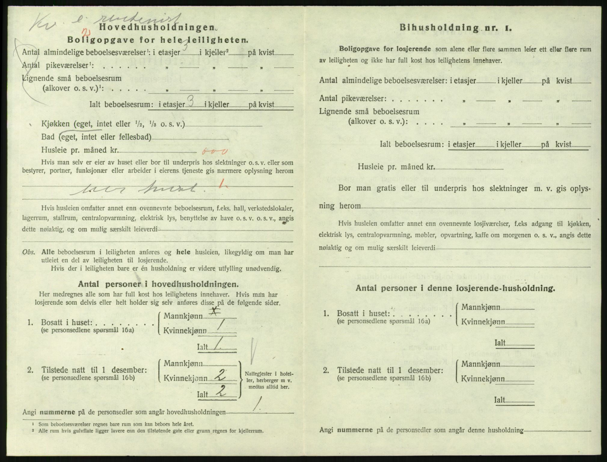 SAKO, 1920 census for Larvik, 1920, p. 4419