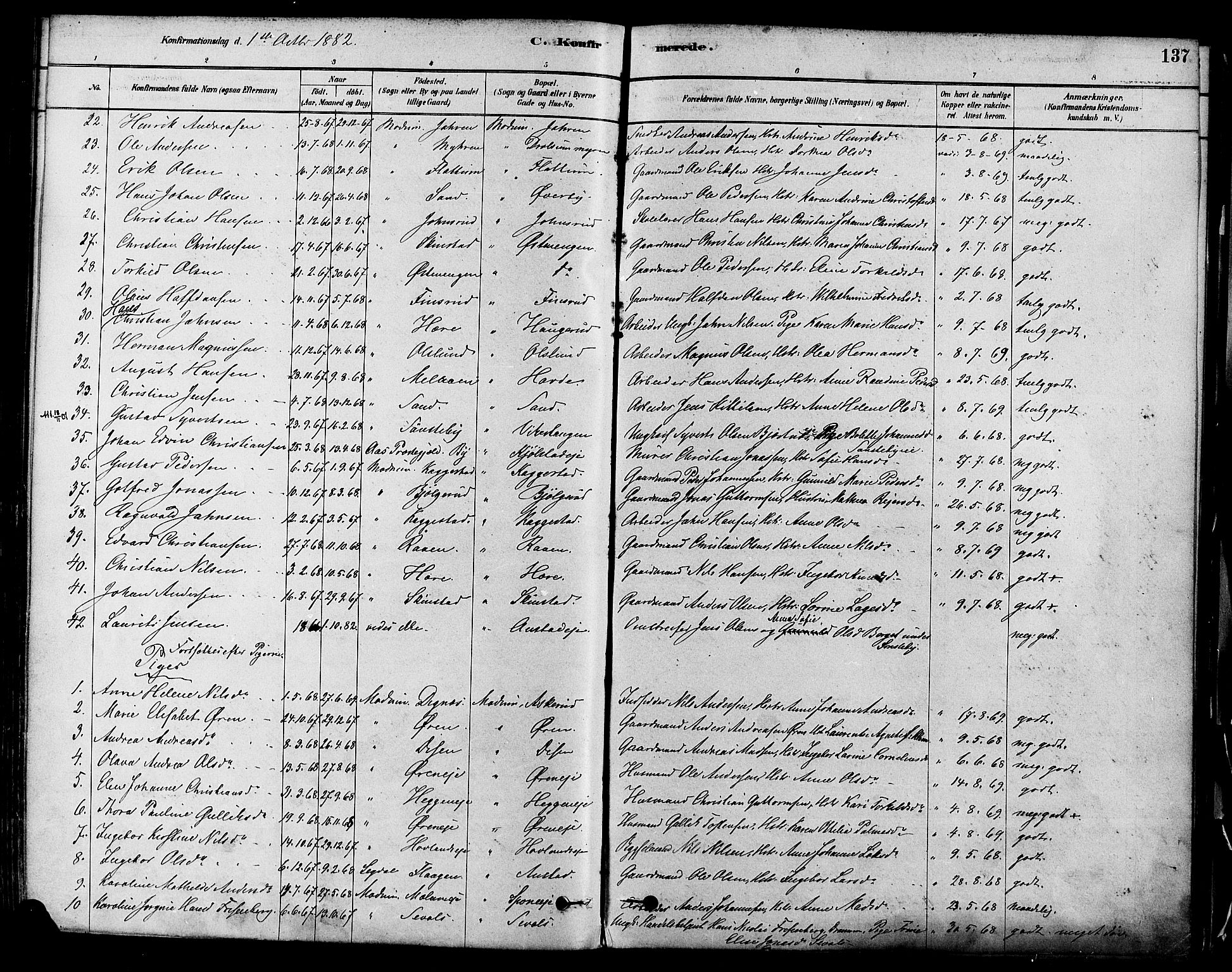 Modum kirkebøker, AV/SAKO-A-234/F/Fa/L0011: Parish register (official) no. 11, 1877-1889, p. 137