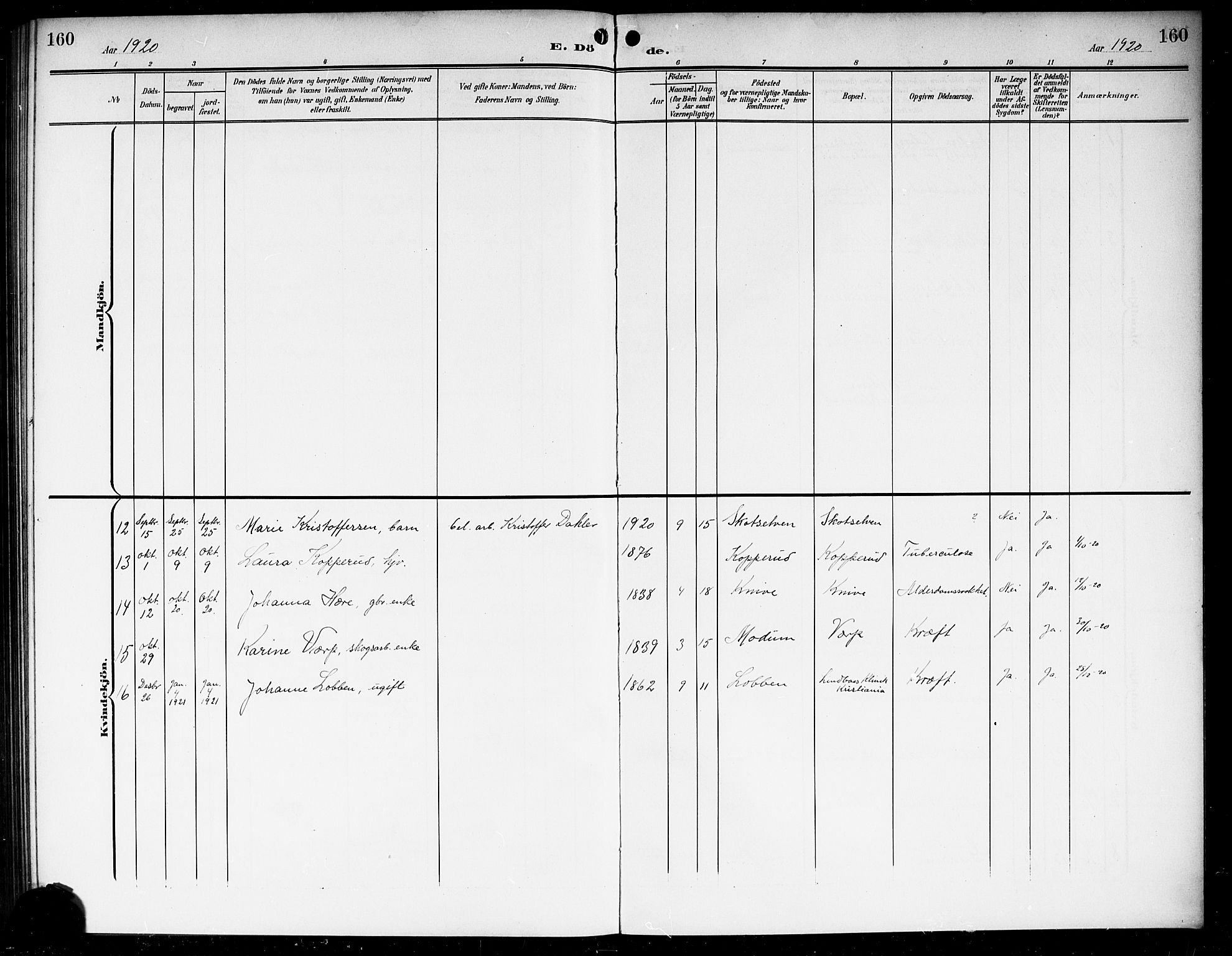 Eiker kirkebøker, AV/SAKO-A-4/G/Gb/L0005: Parish register (copy) no. II 5, 1901-1923, p. 160