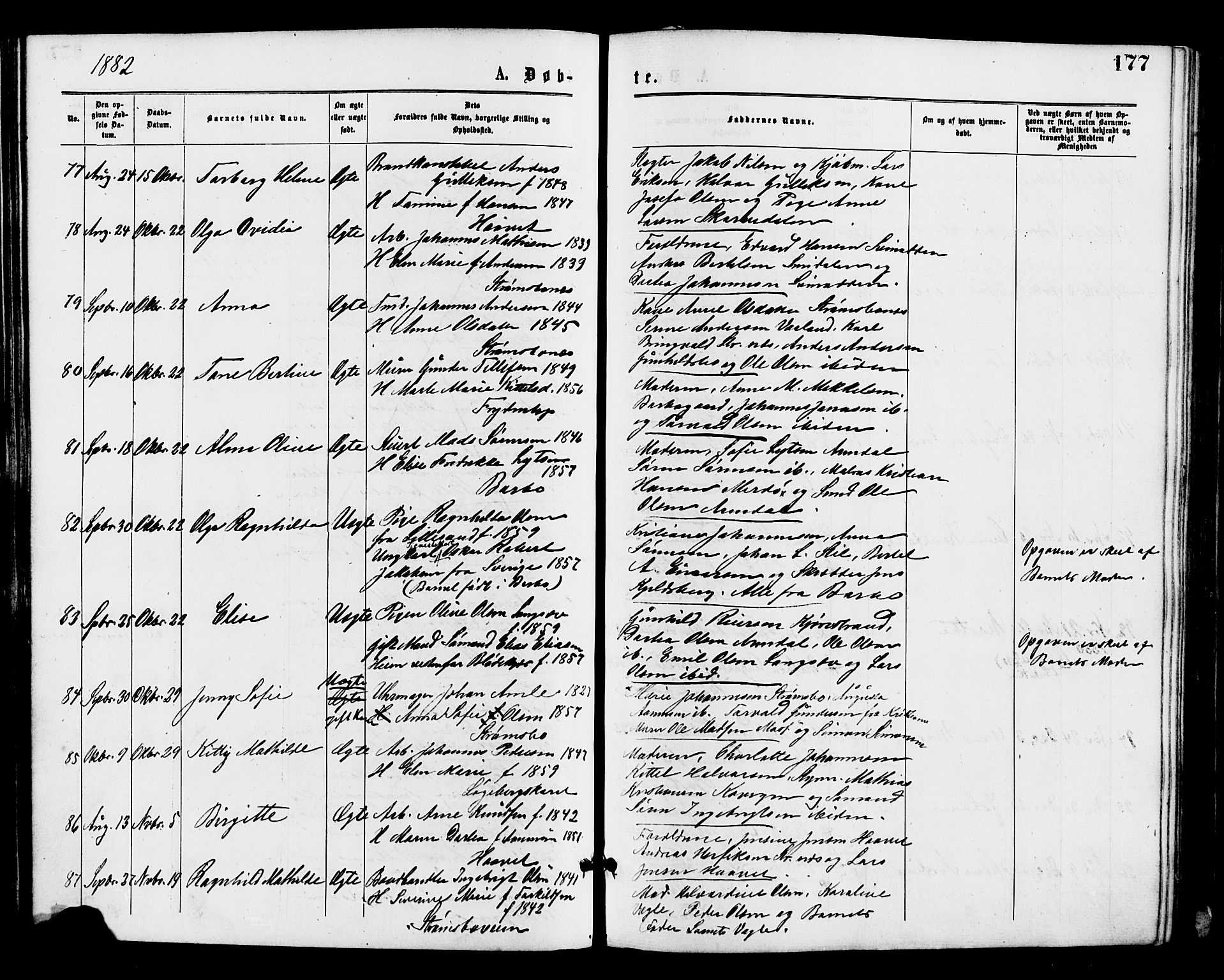 Barbu sokneprestkontor, AV/SAK-1111-0003/F/Fa/L0001: Parish register (official) no. A 1 /1, 1878-1883, p. 177