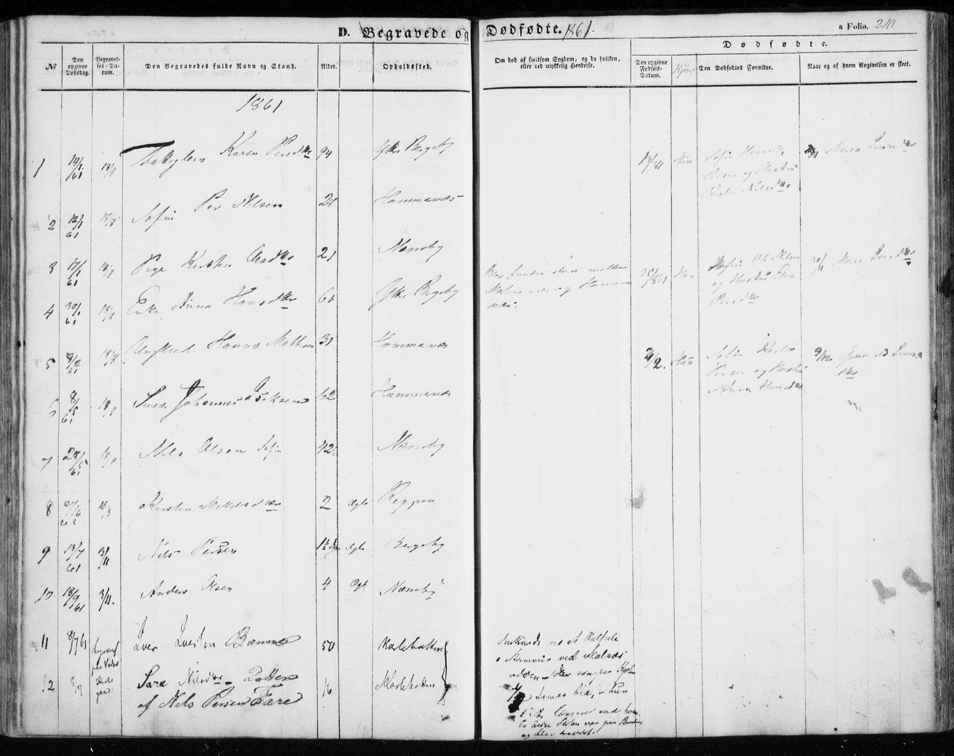Nesseby sokneprestkontor, SATØ/S-1330/H/Ha/L0002kirke: Parish register (official) no. 2, 1856-1864, p. 210