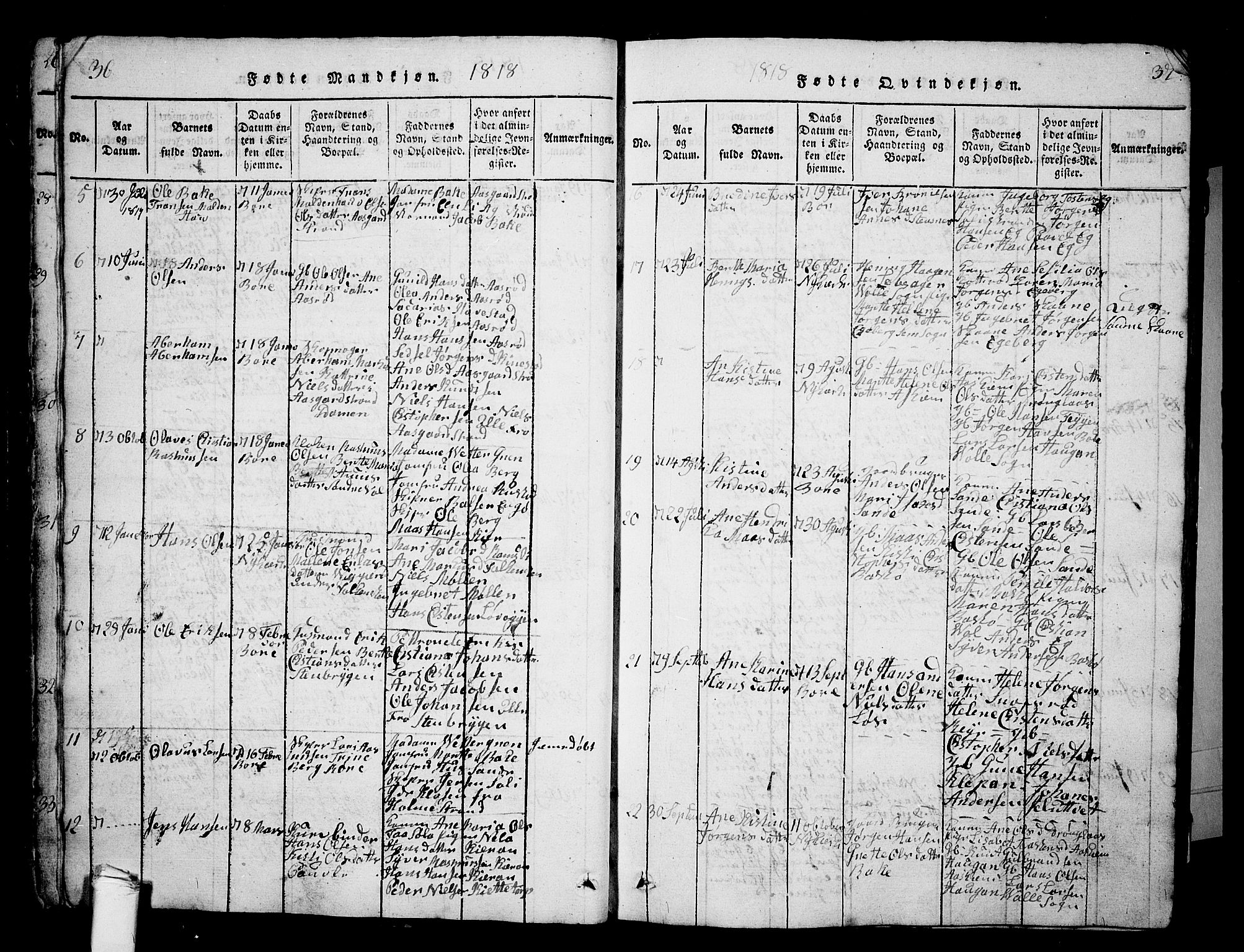 Borre kirkebøker, AV/SAKO-A-338/G/Ga/L0001: Parish register (copy) no. I 1, 1815-1851, p. 36-37