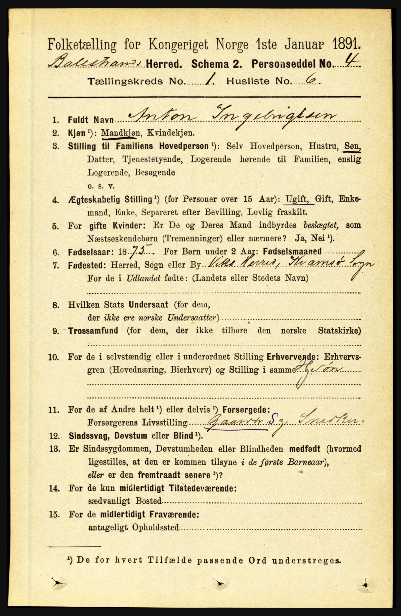RA, 1891 census for 1418 Balestrand, 1891, p. 95