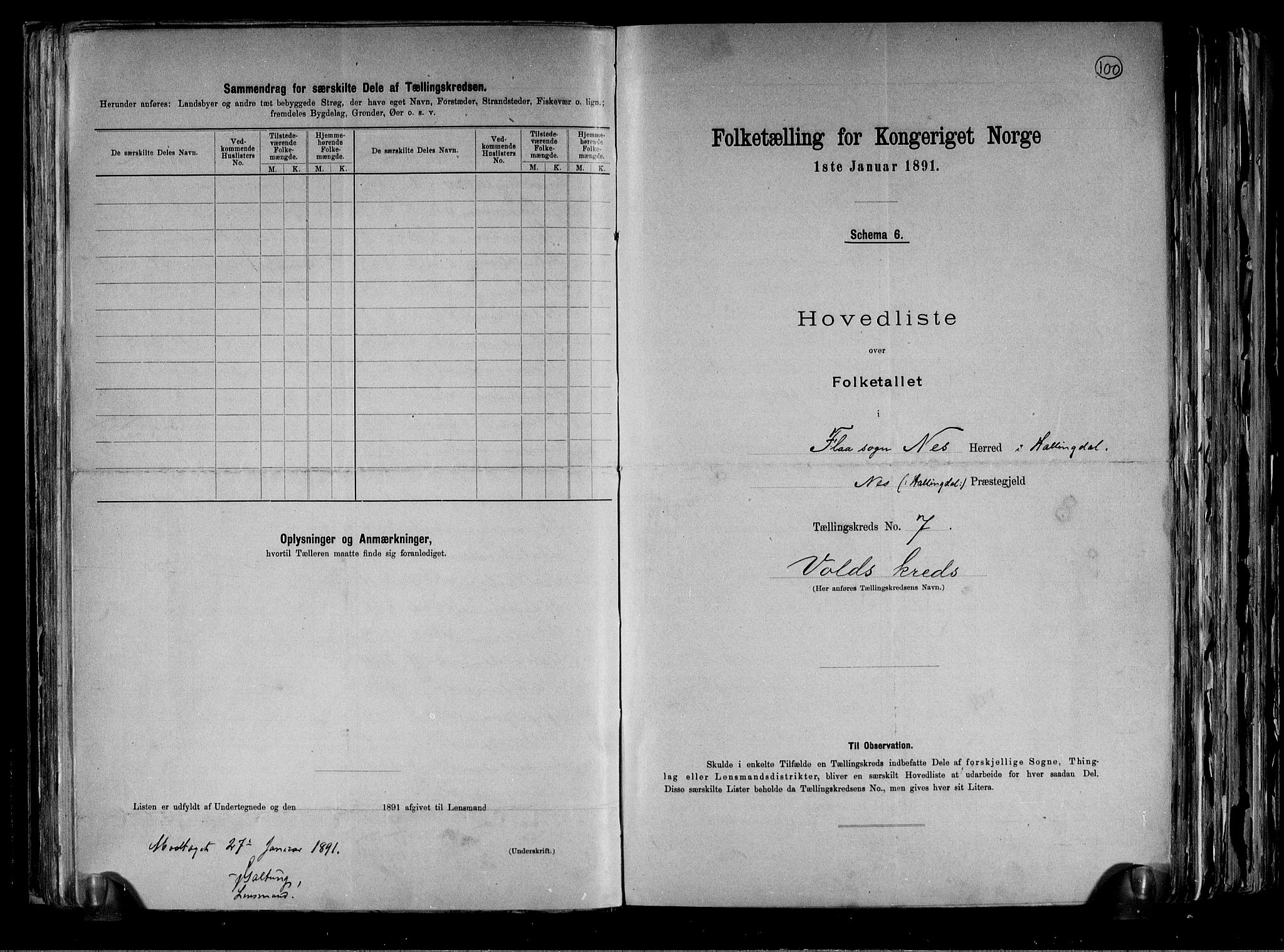 RA, 1891 census for 0616 Nes, 1891, p. 20