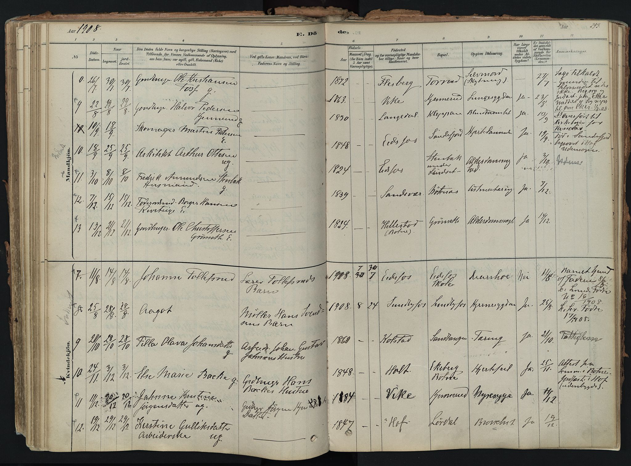 Hof kirkebøker, AV/SAKO-A-64/F/Fa/L0007: Parish register (official) no. I 7, 1878-1940, p. 293