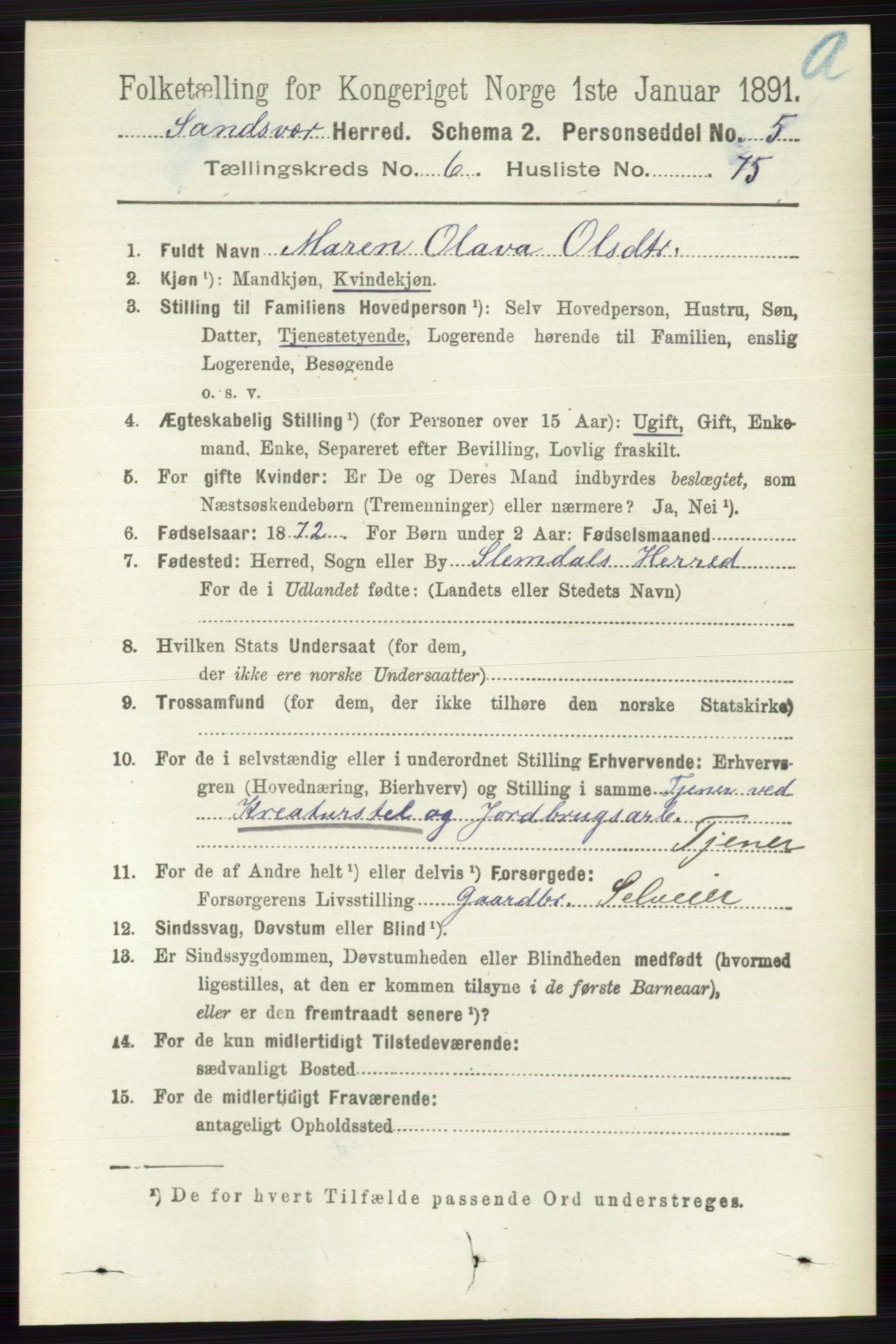 RA, 1891 census for 0629 Sandsvær, 1891, p. 3878