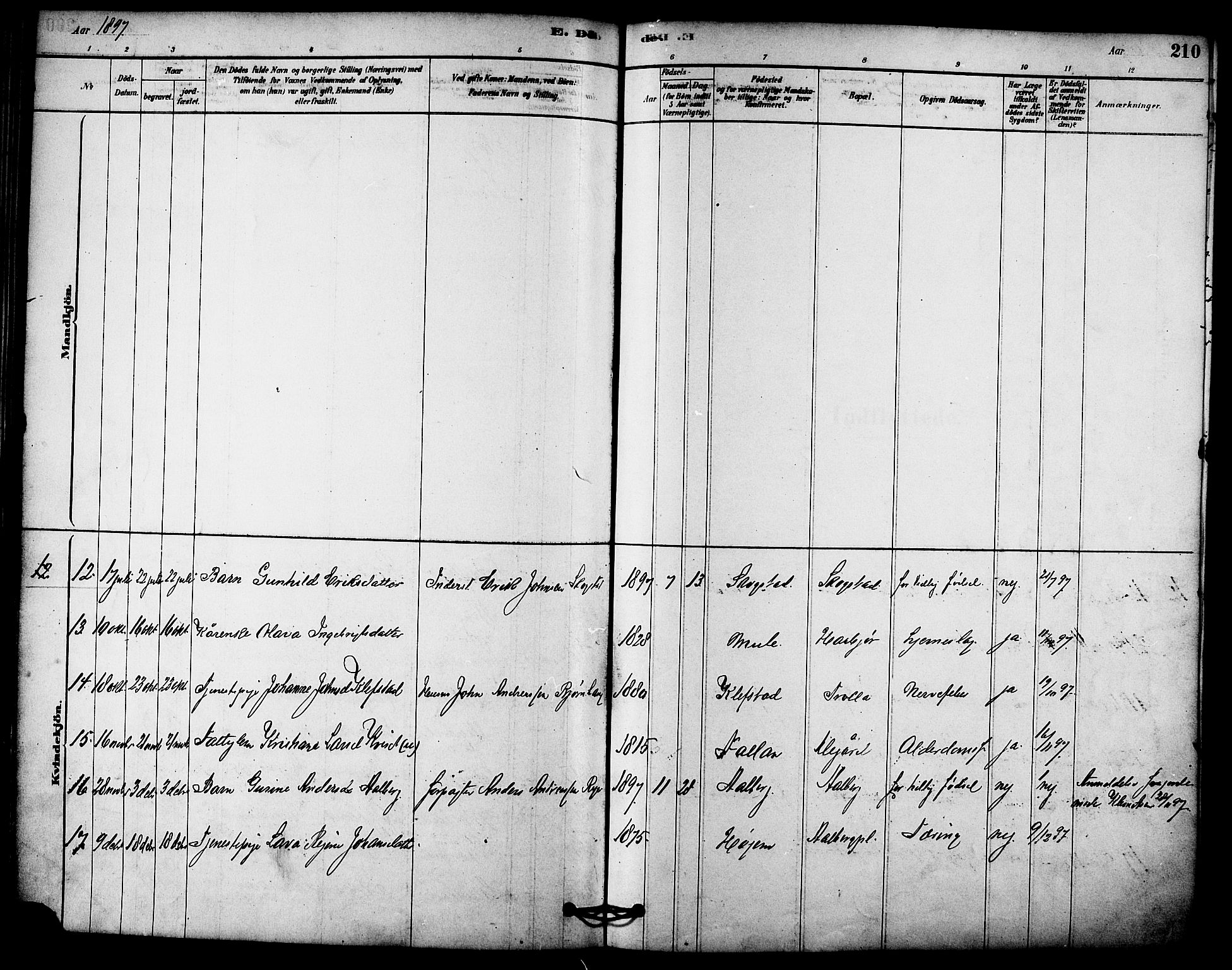 Ministerialprotokoller, klokkerbøker og fødselsregistre - Sør-Trøndelag, SAT/A-1456/612/L0378: Parish register (official) no. 612A10, 1878-1897, p. 210