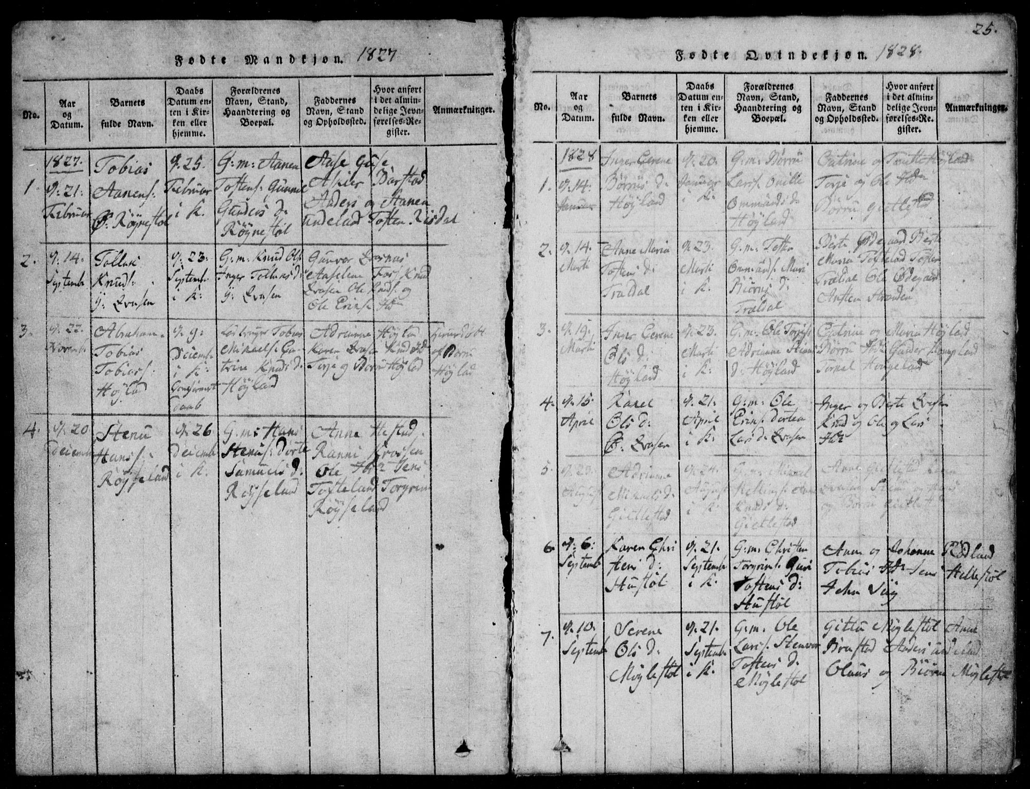 Lyngdal sokneprestkontor, AV/SAK-1111-0029/F/Fb/Fbb/L0001: Parish register (copy) no. B 1, 1816-1900, p. 25