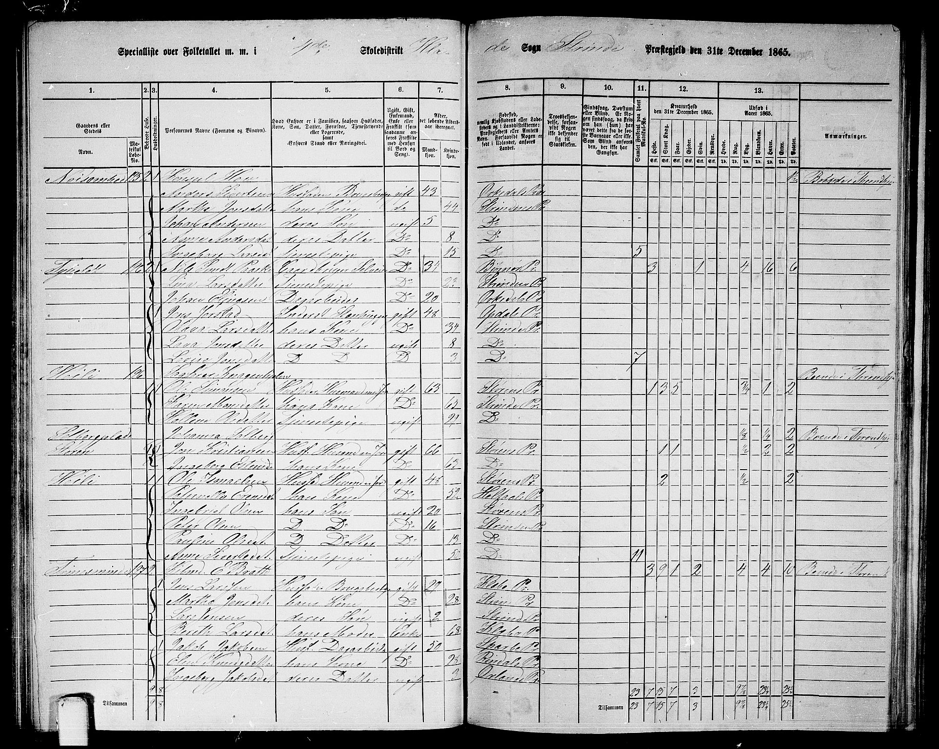 RA, 1865 census for Strinda, 1865, p. 103